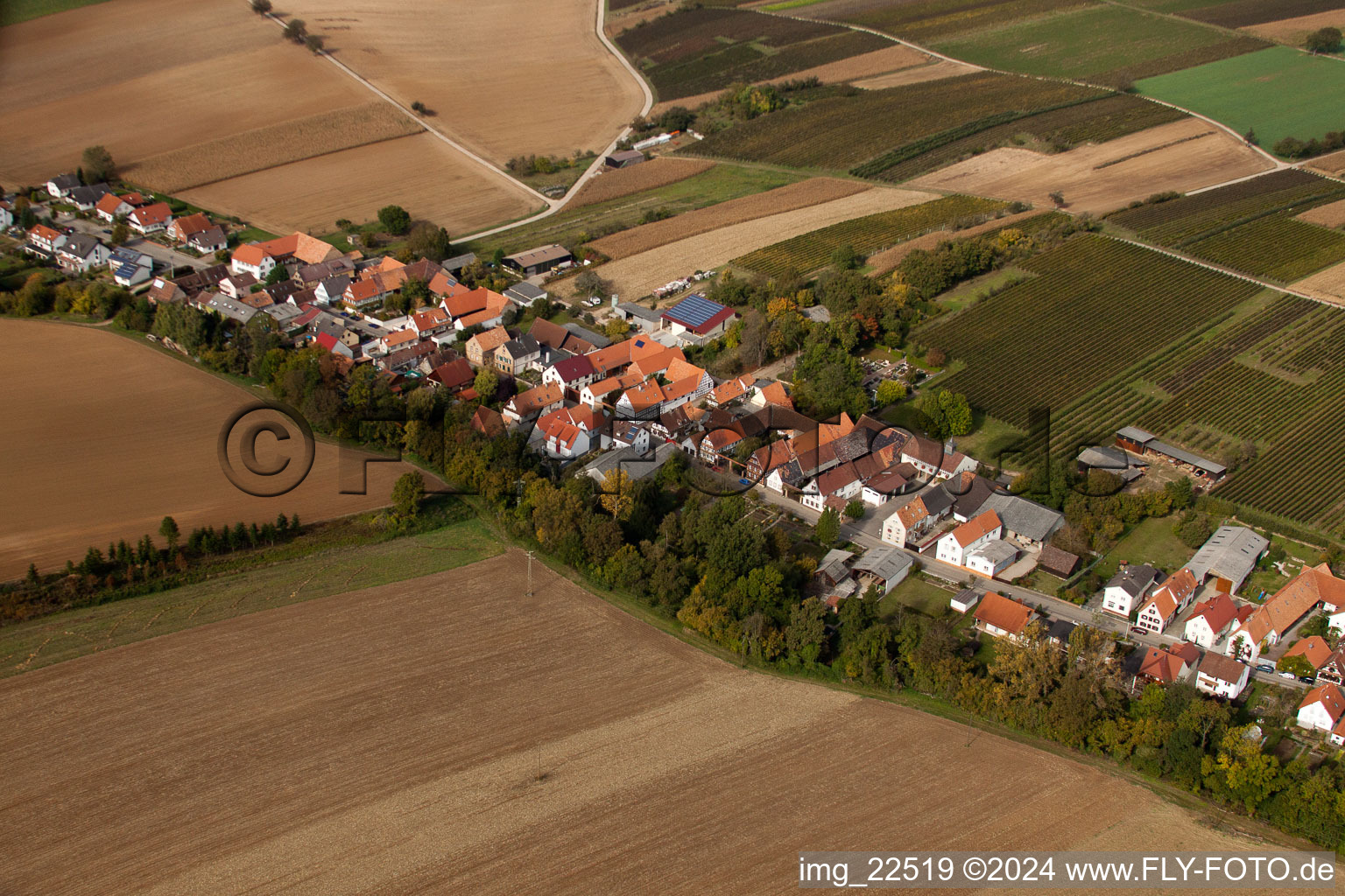 Schrägluftbild von Dorf - Ansicht am Rande von landwirtschaftlichen Feldern und Nutzflächen in Vollmersweiler im Bundesland Rheinland-Pfalz, Deutschland