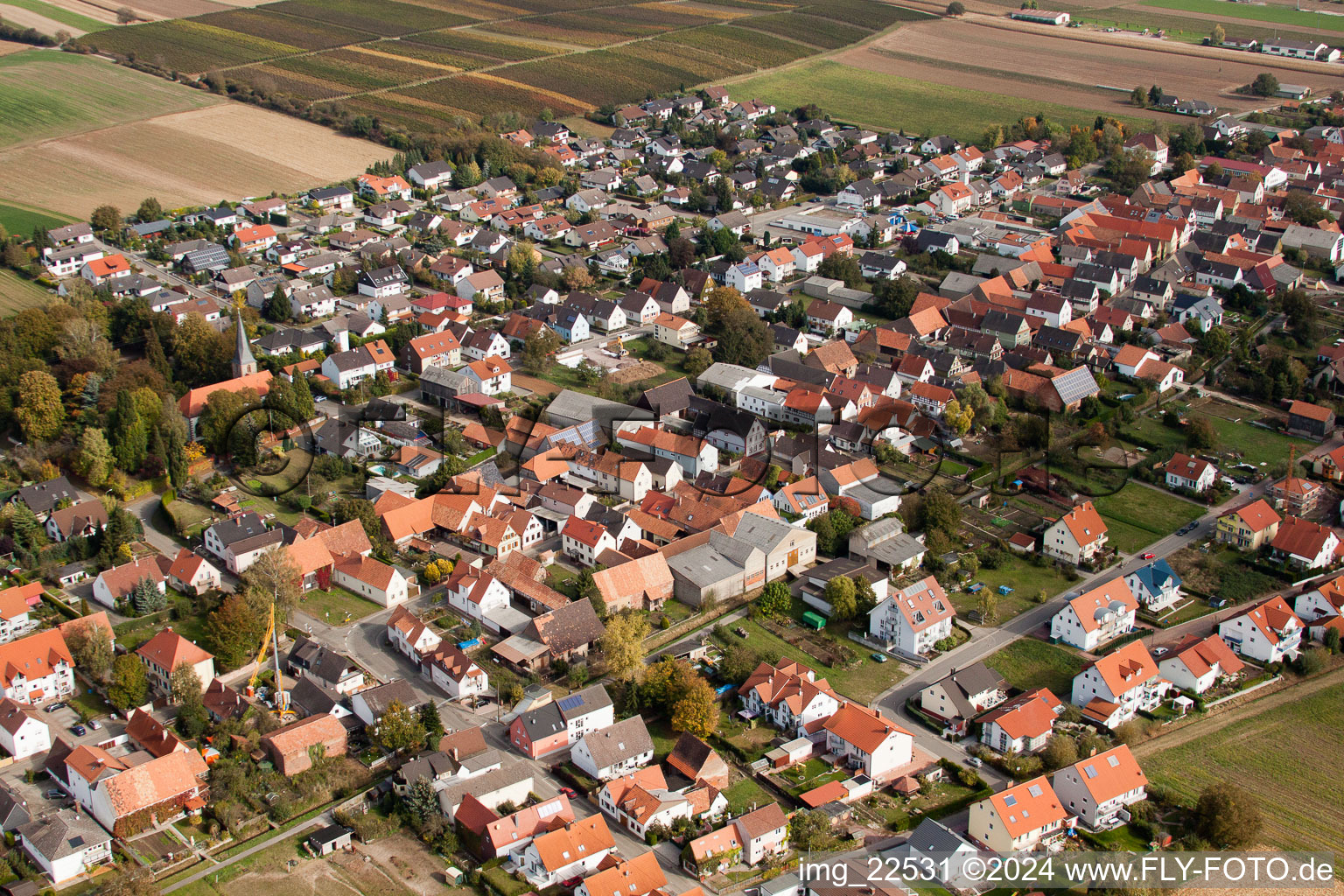 Luftaufnahme von Dorf - Ansicht am Rande von landwirtschaftlichen Feldern und Nutzflächen in Freckenfeld im Bundesland Rheinland-Pfalz, Deutschland