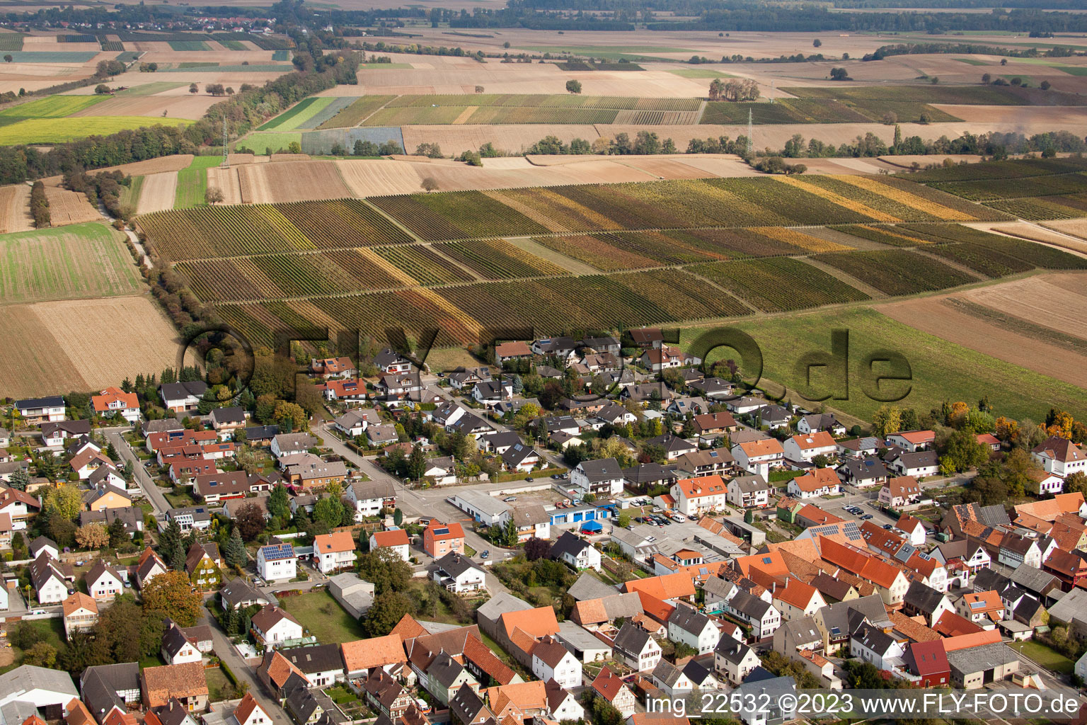 Freckenfeld im Bundesland Rheinland-Pfalz, Deutschland von oben gesehen
