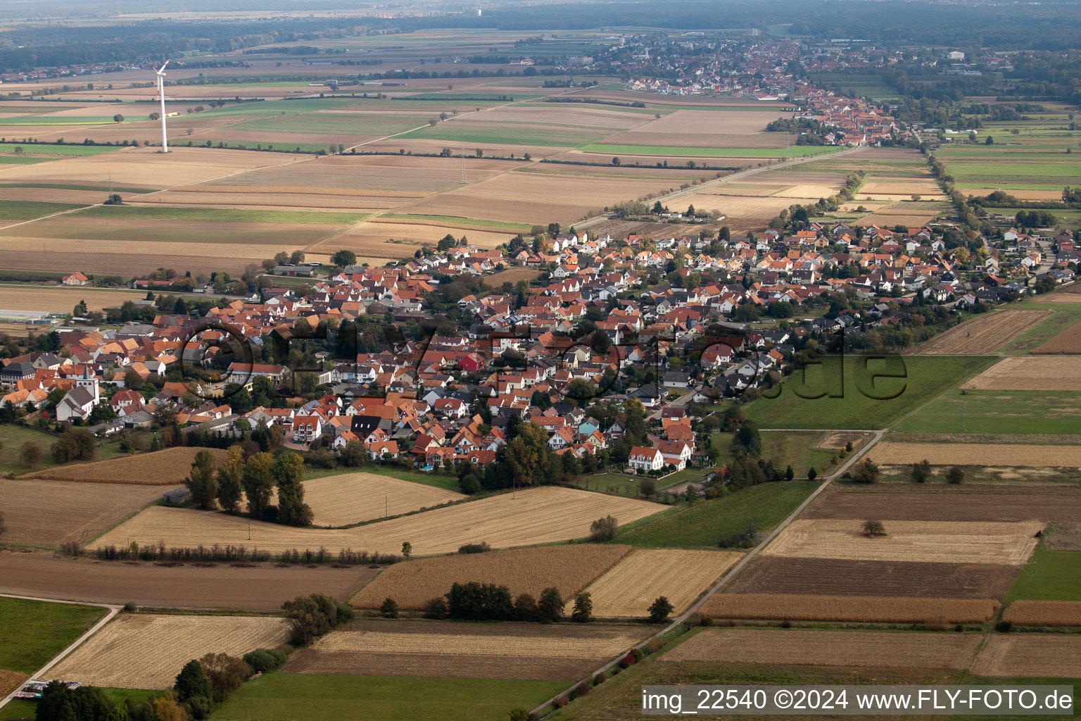 Luftbild von Dorf - Ansicht am Rande von landwirtschaftlichen Feldern und Nutzflächen in Minfeld im Bundesland Rheinland-Pfalz, Deutschland