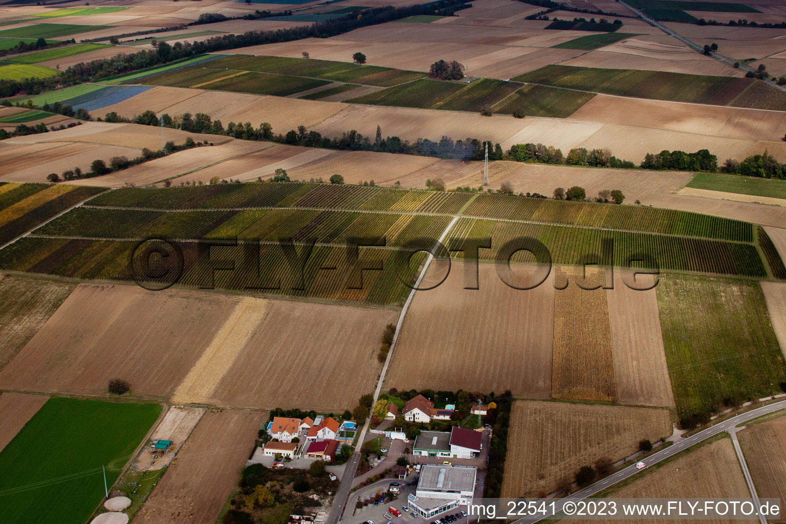 Luftaufnahme von Weinberge zw. Freckenfeld und Winden im Bundesland Rheinland-Pfalz, Deutschland