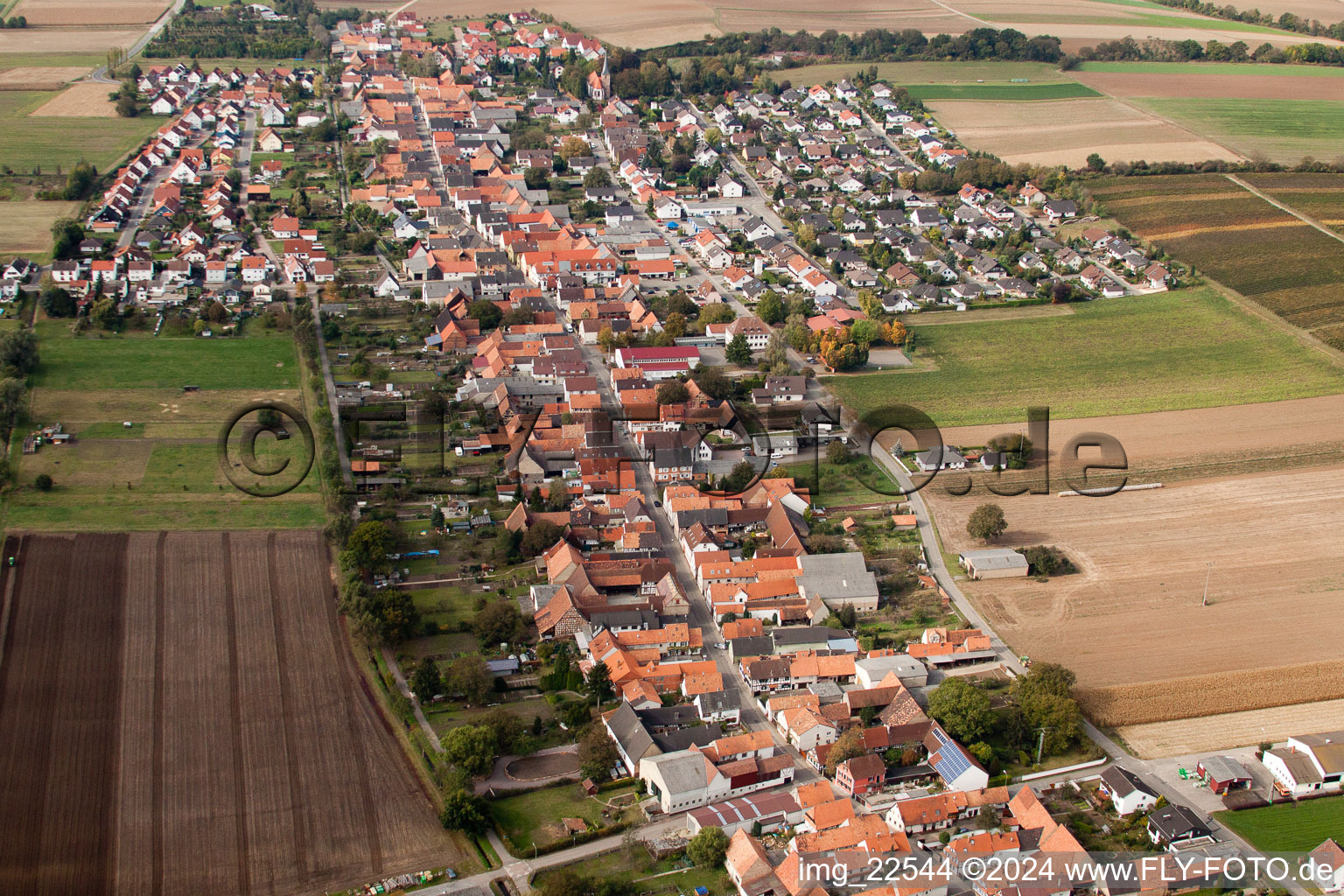 Schrägluftbild von Dorf - Ansicht am Rande von landwirtschaftlichen Feldern und Nutzflächen in Freckenfeld im Bundesland Rheinland-Pfalz, Deutschland