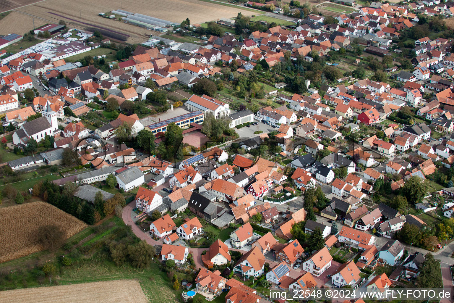 Luftaufnahme von Dorf - Ansicht am Rande von landwirtschaftlichen Feldern und Nutzflächen in Minfeld im Bundesland Rheinland-Pfalz, Deutschland