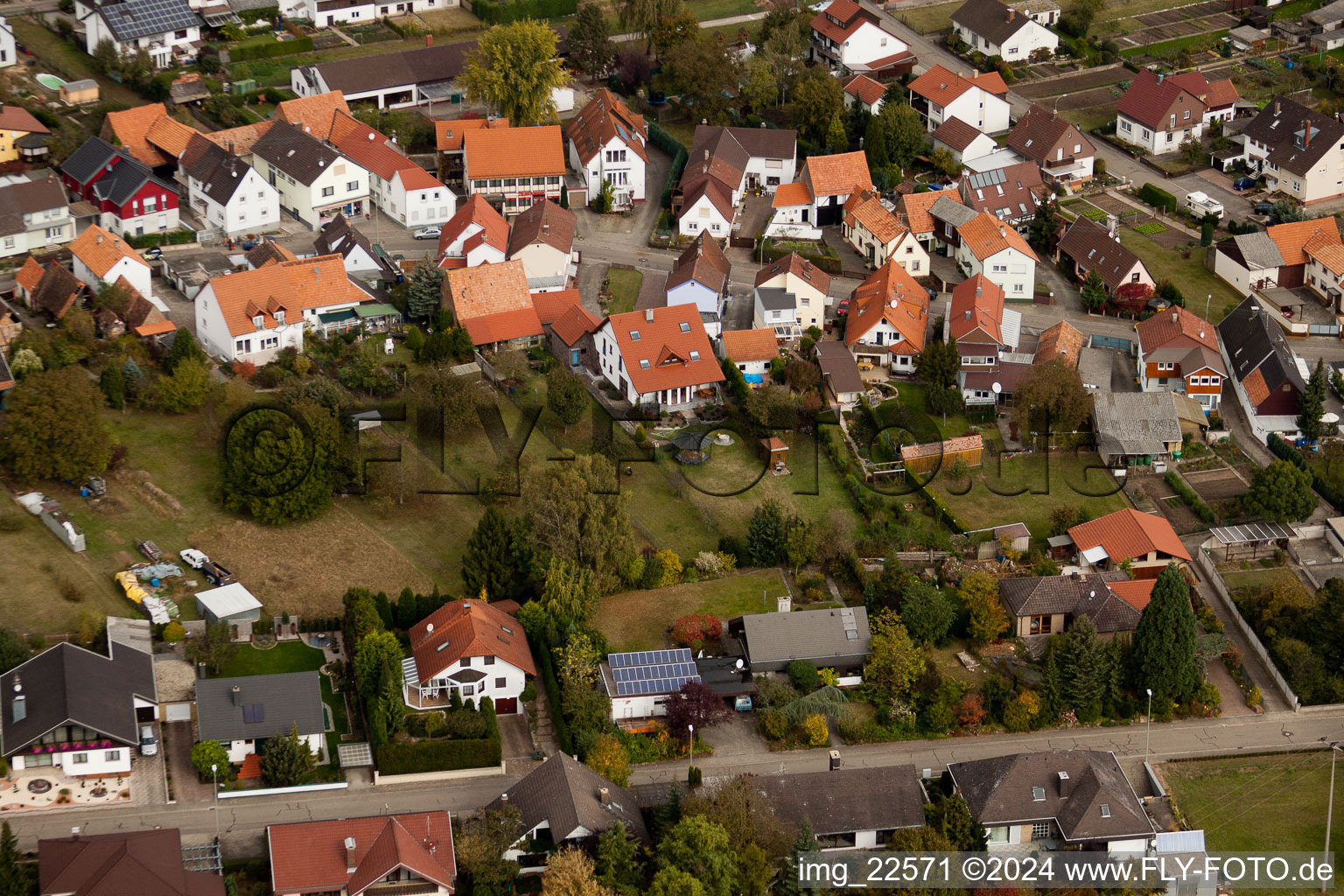 Minfeld im Bundesland Rheinland-Pfalz, Deutschland aus der Vogelperspektive