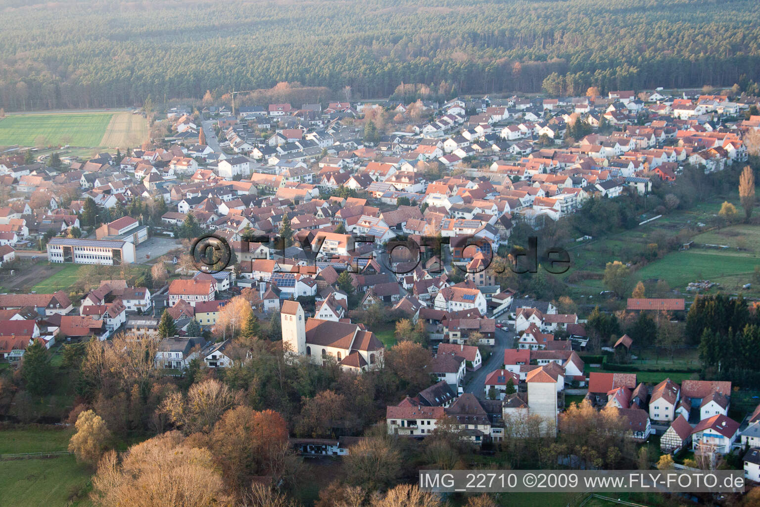 Dorf - Ansicht in Berg (Pfalz) im Bundesland Rheinland-Pfalz, Deutschland aus der Luft