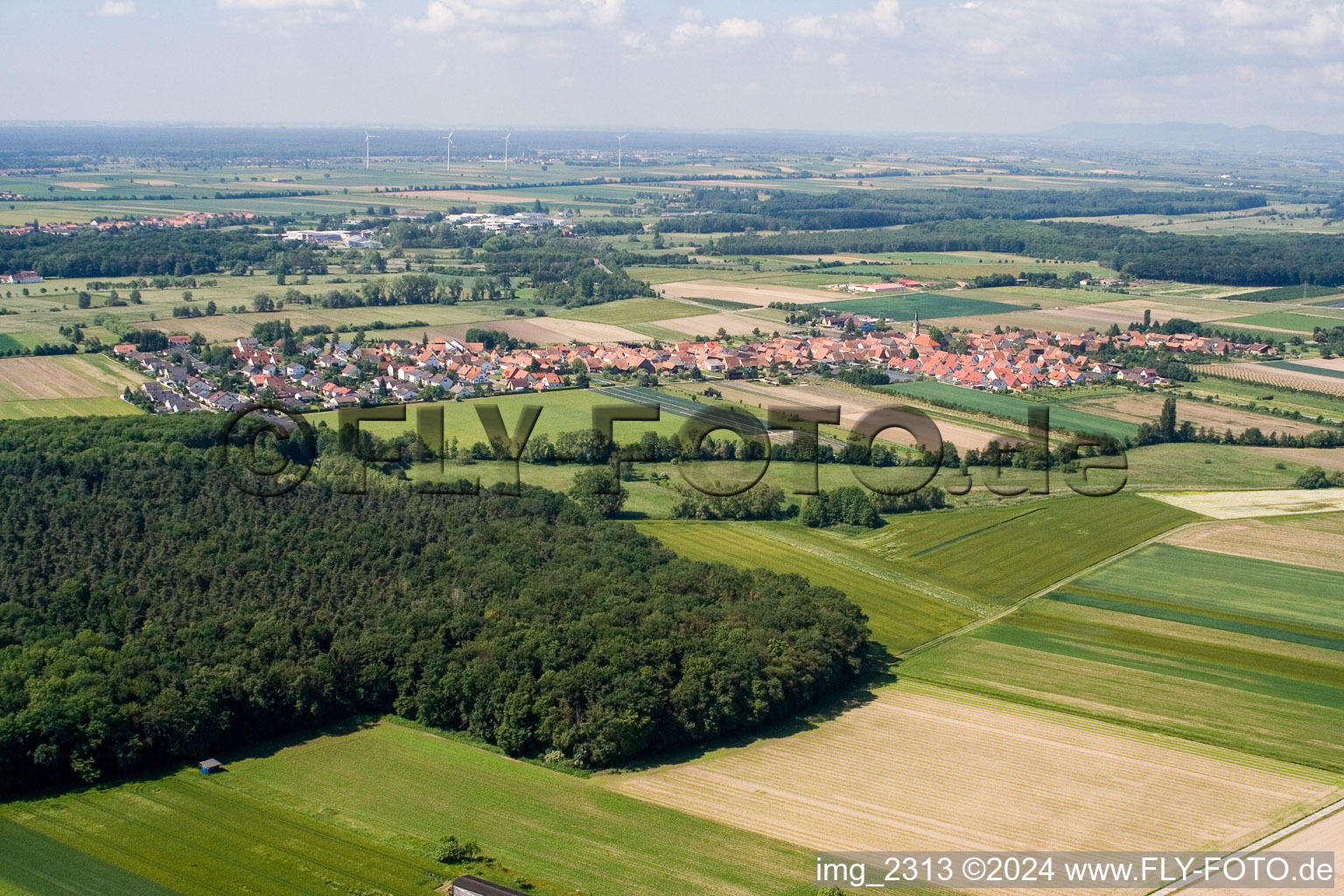 Luftaufnahme von Von Norden in Erlenbach bei Kandel im Bundesland Rheinland-Pfalz, Deutschland
