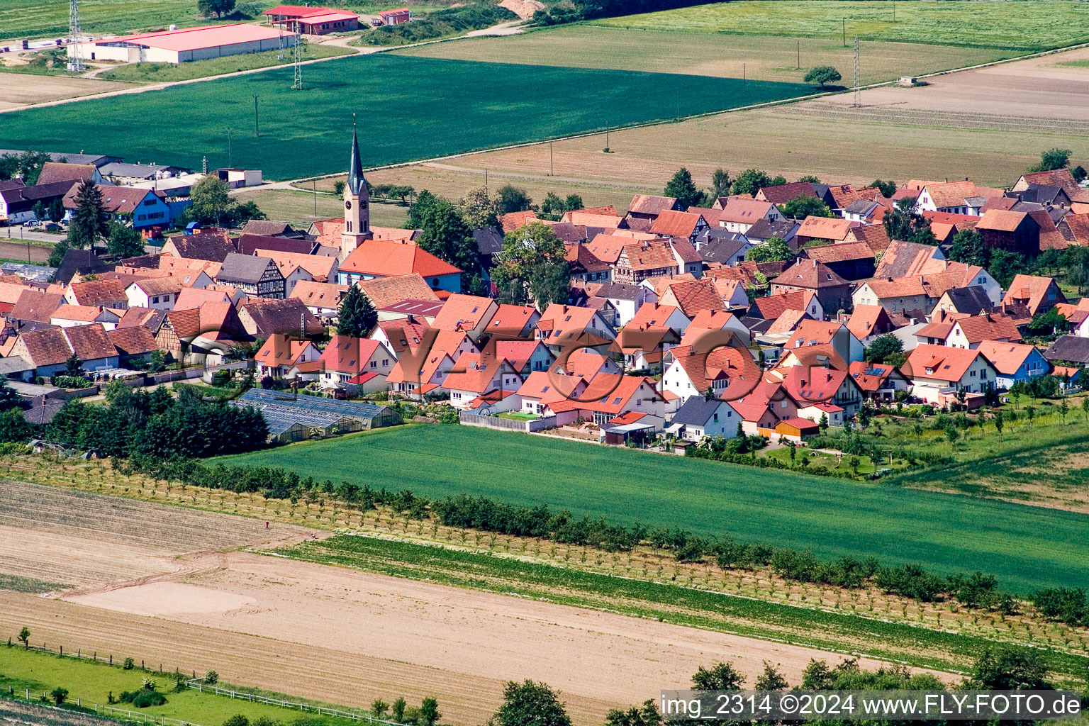 Dorf - Ansicht am Rande von landwirtschaftlichen Feldern und Nutzflächen in Erlenbach bei Kandel im Bundesland Rheinland-Pfalz, Deutschland