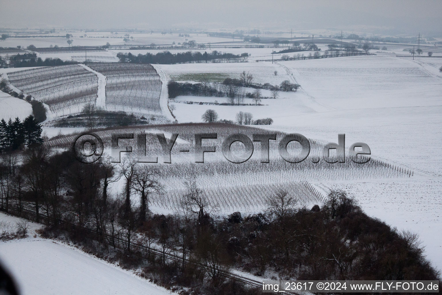 Freckenfeld, Winter-Wingert im Bundesland Rheinland-Pfalz, Deutschland