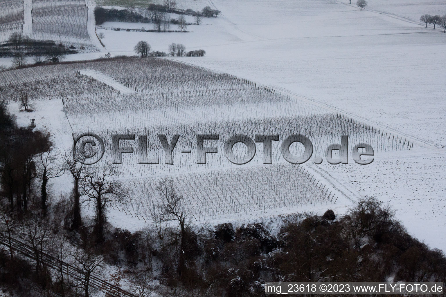 Luftbild von Freckenfeld, Winter-Wingert im Bundesland Rheinland-Pfalz, Deutschland