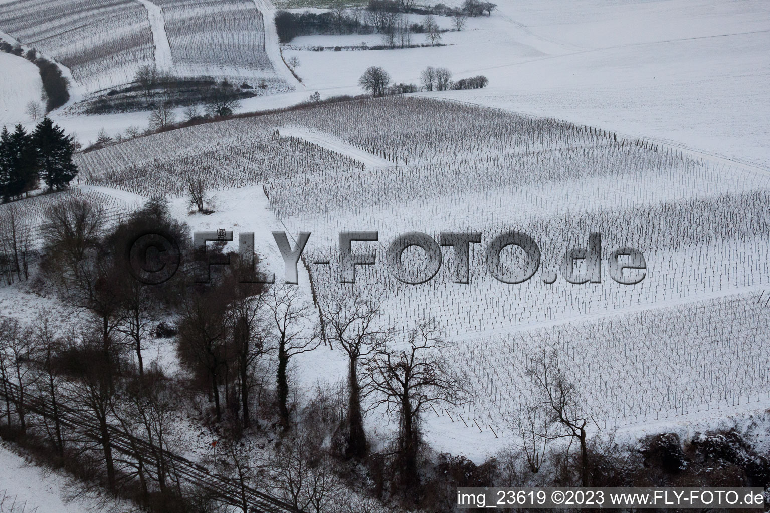 Luftaufnahme von Freckenfeld, Winter-Wingert im Bundesland Rheinland-Pfalz, Deutschland
