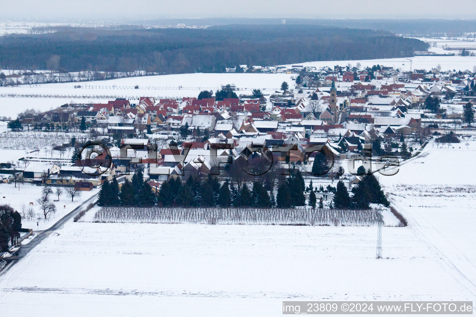 Im Winter bei Schnee von Westen in Erlenbach bei Kandel im Bundesland Rheinland-Pfalz, Deutschland