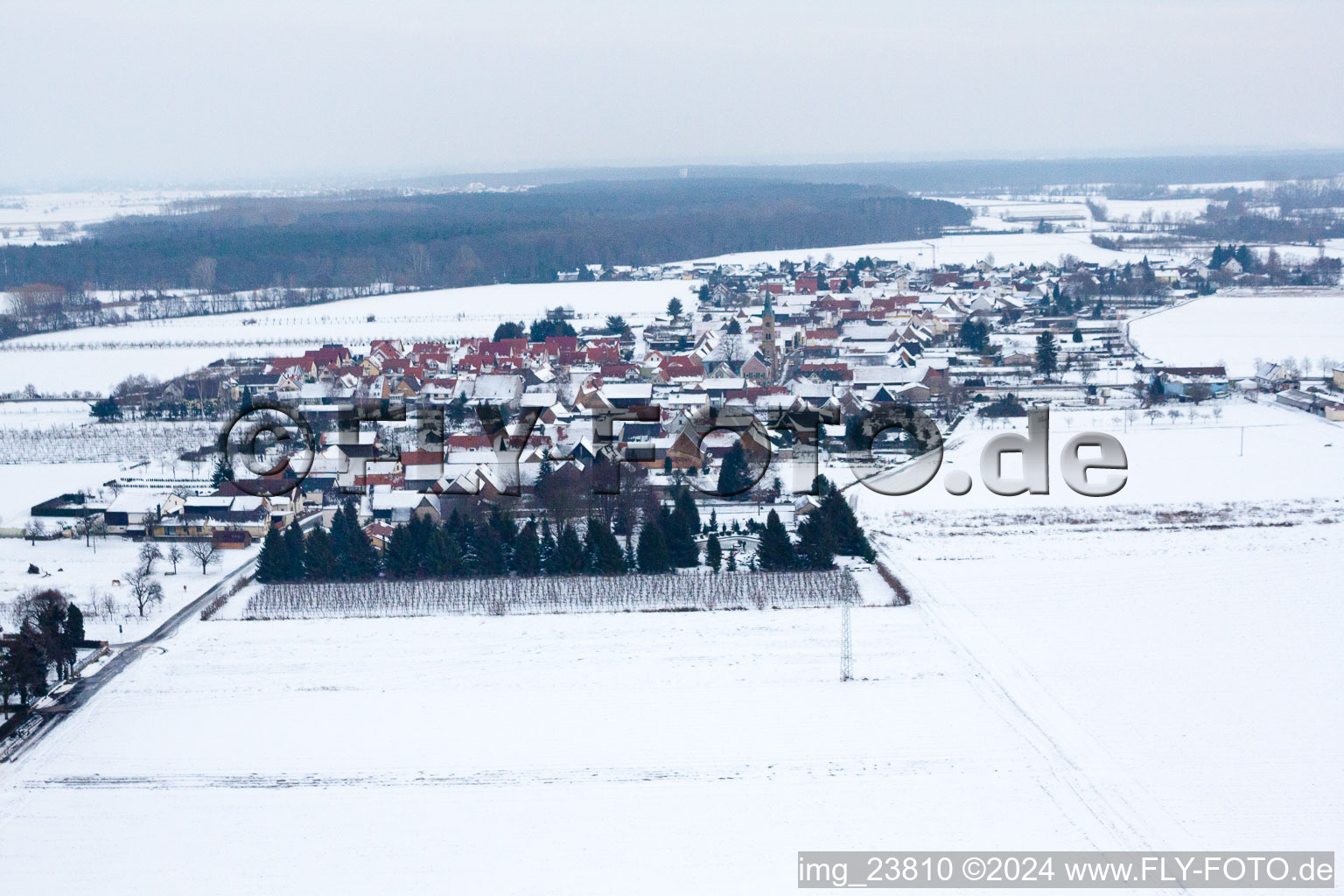 Luftbild von Im Winter bei Schnee von Westen in Erlenbach bei Kandel im Bundesland Rheinland-Pfalz, Deutschland