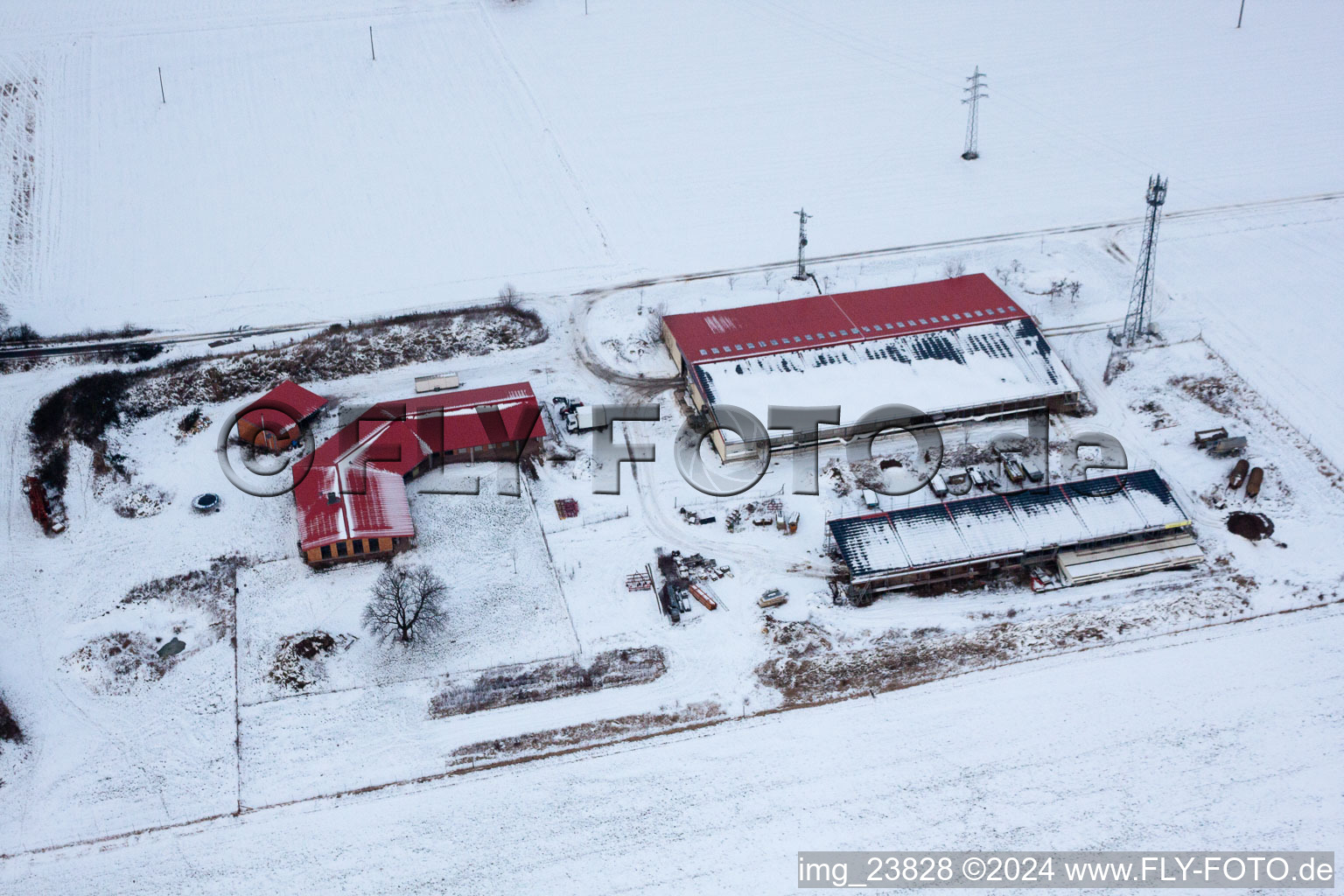 Luftaufnahme von Hühnerhof Eierfarm im Winter bei Schnee in Erlenbach bei Kandel im Bundesland Rheinland-Pfalz, Deutschland