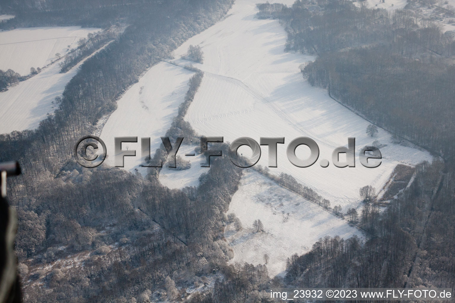 Jockgrim, Winterwald am Otterbach im Bundesland Rheinland-Pfalz, Deutschland