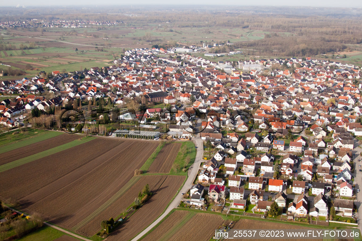 Au am Rhein im Bundesland Baden-Württemberg, Deutschland aus der Drohnenperspektive