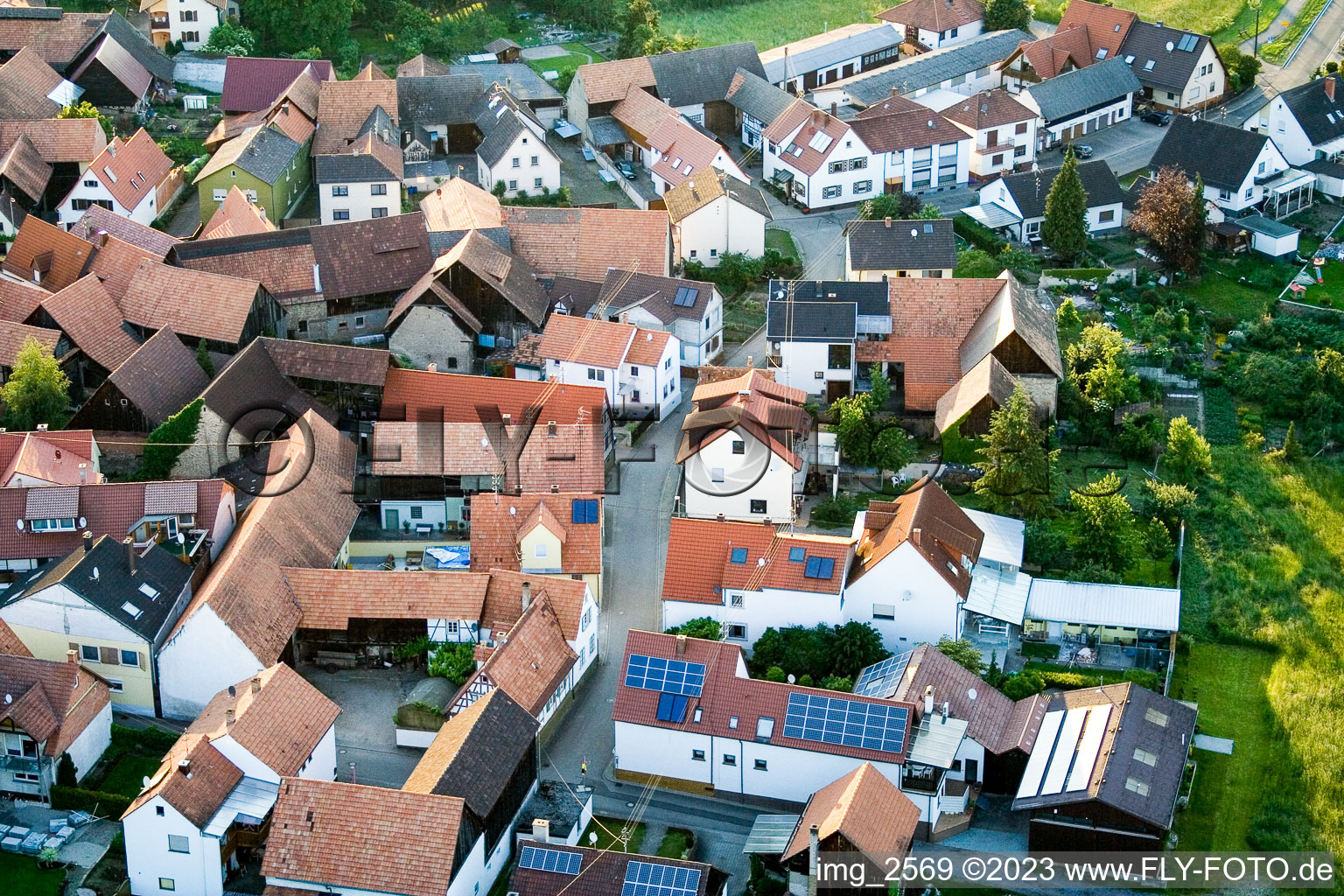 Ortsteil Büchelberg in Wörth am Rhein im Bundesland Rheinland-Pfalz, Deutschland aus der Luft betrachtet