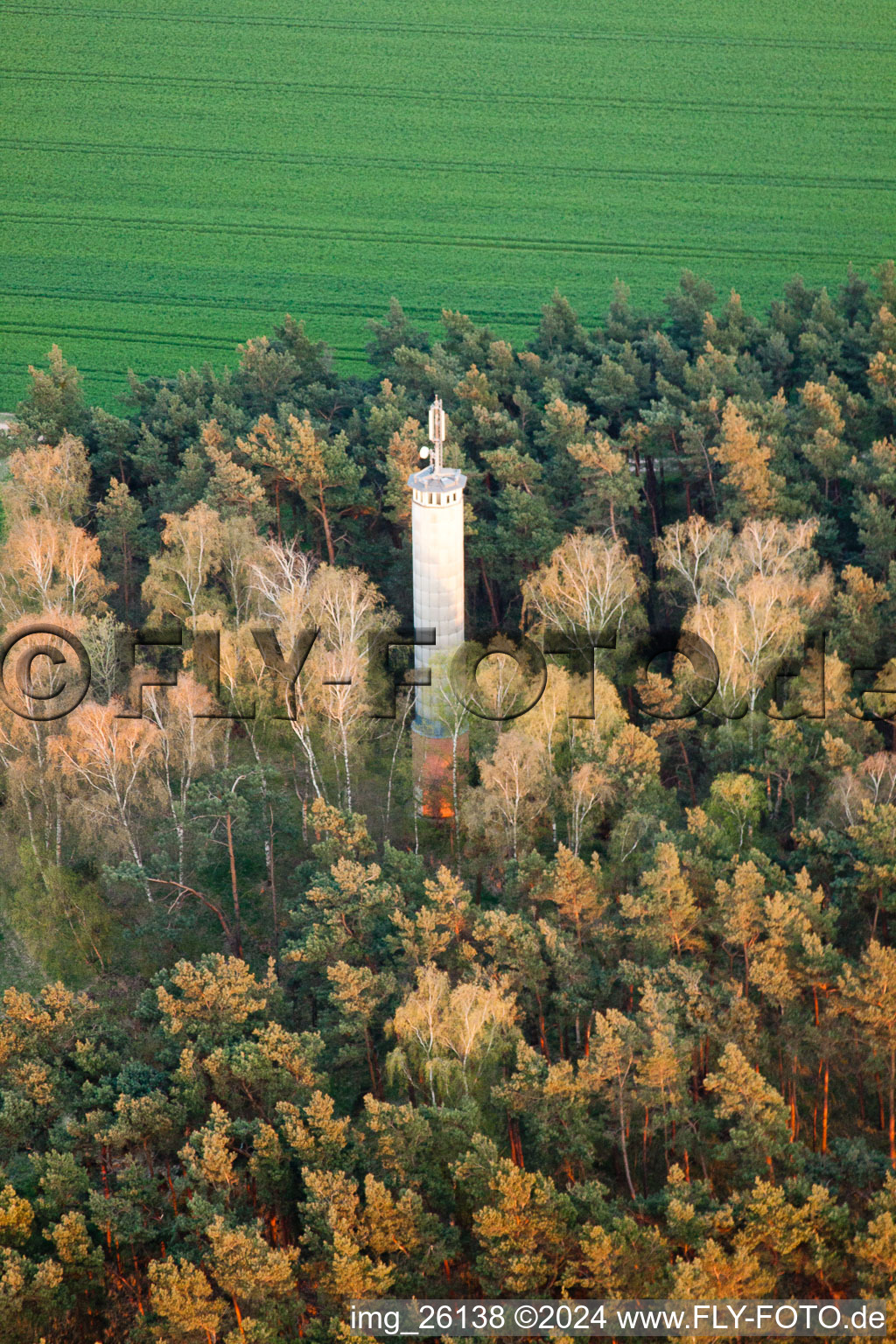 Funkturm und Sendeanlage im Wald in Jüterbog im Bundesland Brandenburg, Deutschland