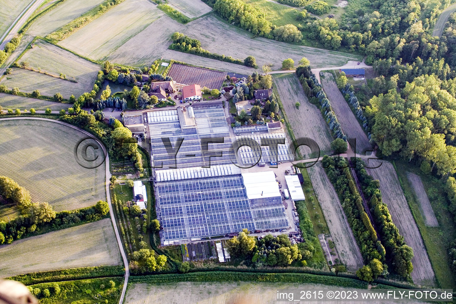 Luftbild von Hagenbach, Geraniengärtnerei im Bundesland Rheinland-Pfalz, Deutschland