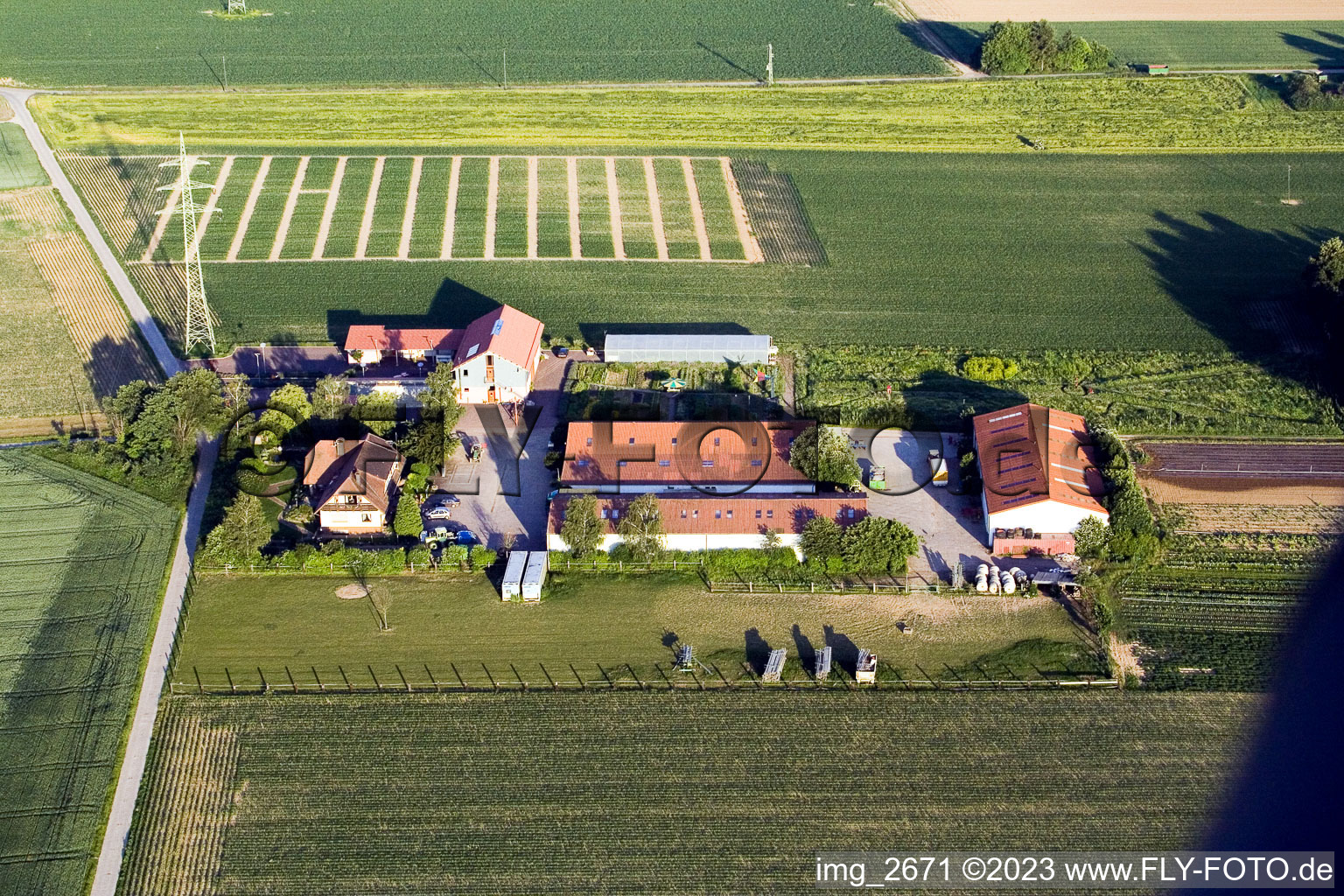 Minfeld, Schossberghof im Bundesland Rheinland-Pfalz, Deutschland aus der Luft betrachtet