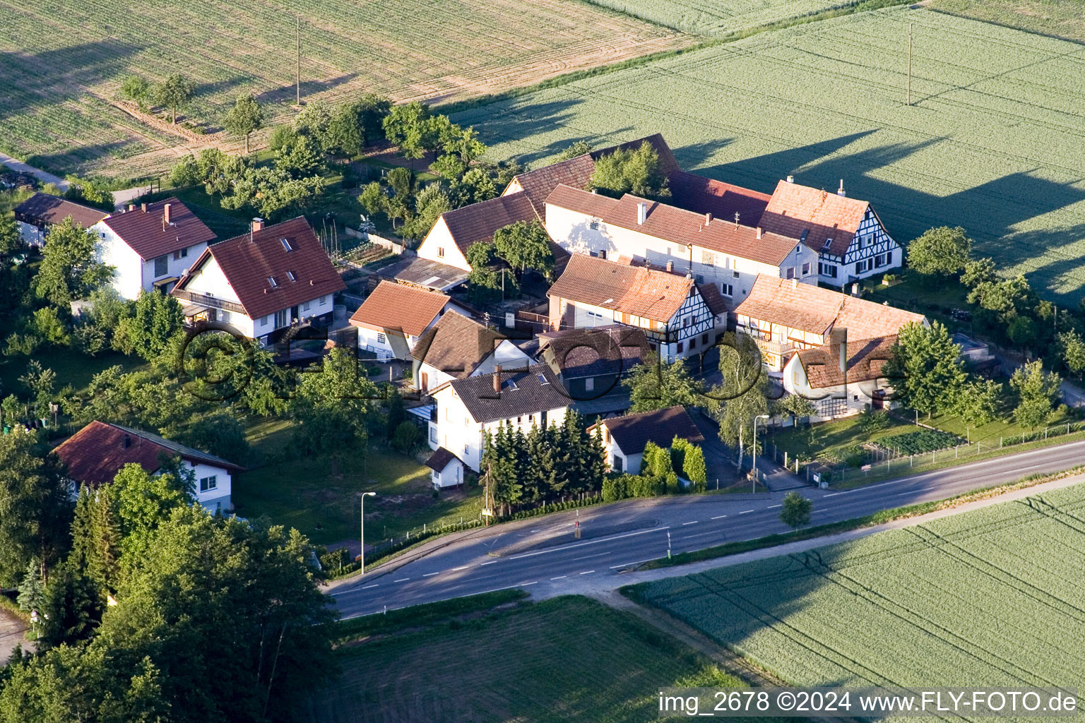 Schrägluftbild von Dorf - Ansicht am Rande von landwirtschaftlichen Feldern und Nutzflächen in Minfeld im Bundesland Rheinland-Pfalz, Deutschland