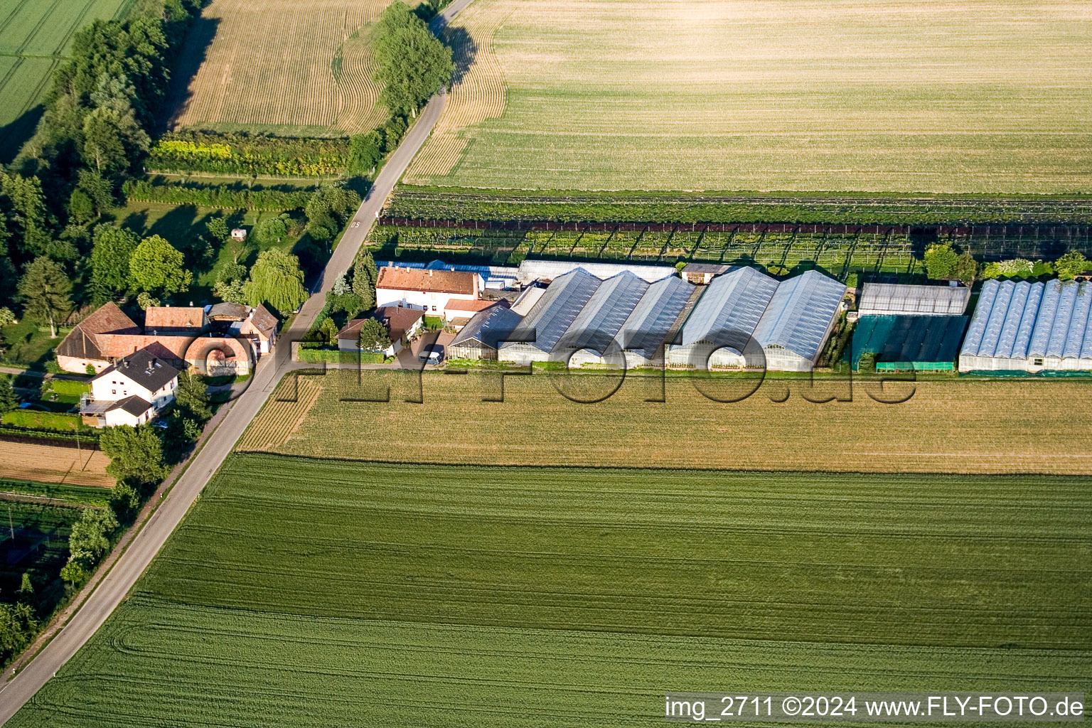 Höllenmühle in Vollmersweiler im Bundesland Rheinland-Pfalz, Deutschland