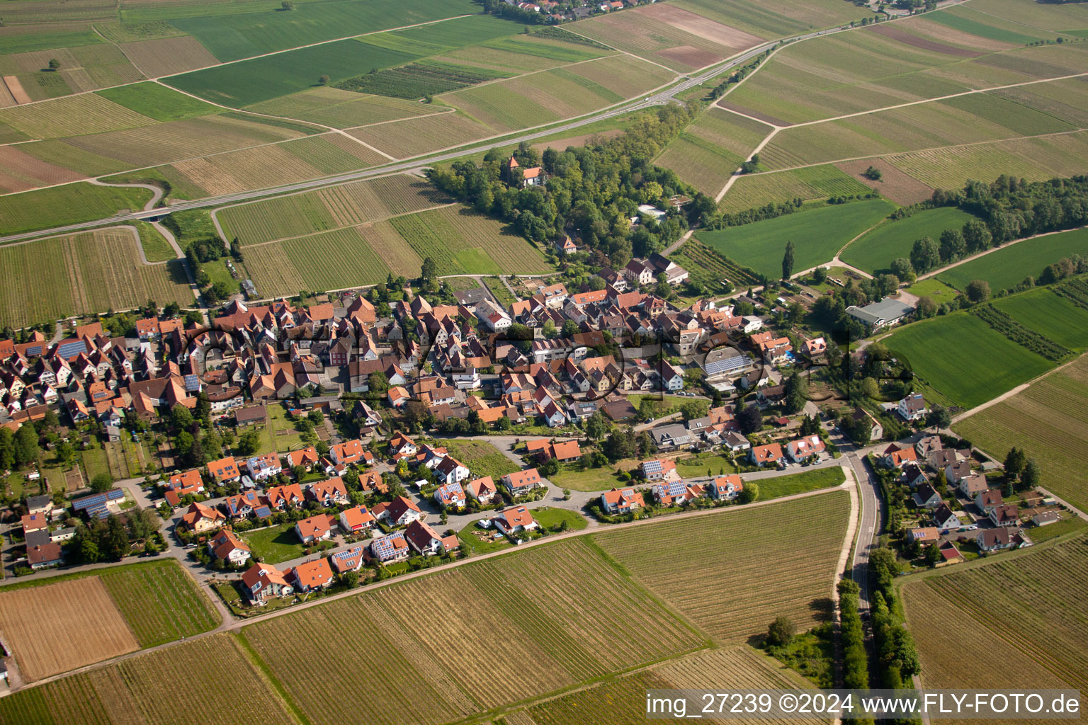 Ortsteil Wollmesheim in Landau in der Pfalz im Bundesland Rheinland-Pfalz, Deutschland von oben