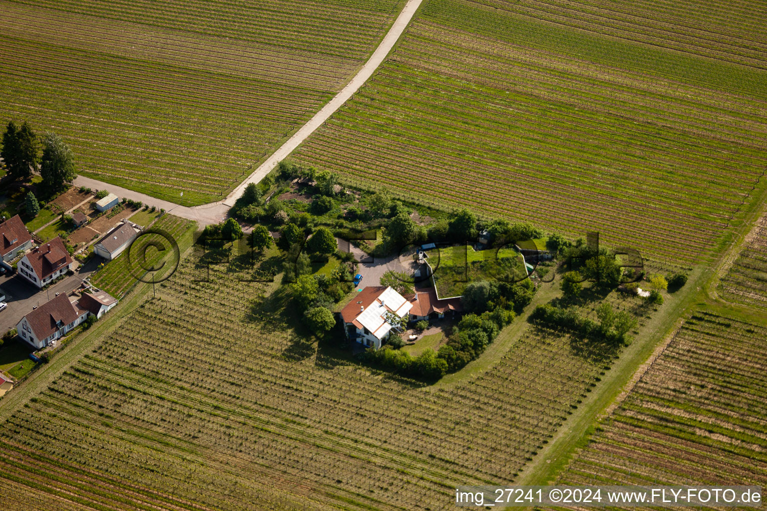 Luftbild von Bioland Weingut Marzolph im Ortsteil Wollmesheim in Landau in der Pfalz im Bundesland Rheinland-Pfalz, Deutschland