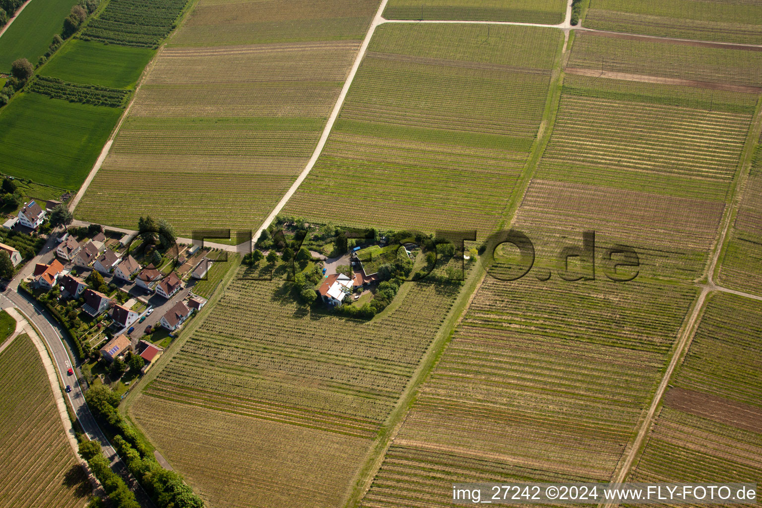 Luftaufnahme von Bioland Weingut Marzolph im Ortsteil Wollmesheim in Landau in der Pfalz im Bundesland Rheinland-Pfalz, Deutschland