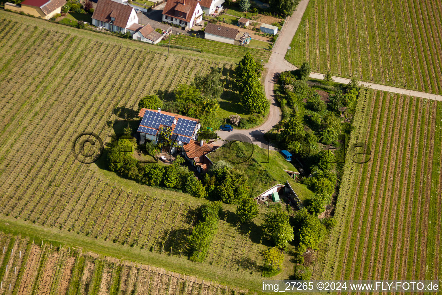 BiolandWeinbau Unterm Grassdach Weingut Marzolph im Ortsteil Wollmesheim in Landau in der Pfalz im Bundesland Rheinland-Pfalz, Deutschland aus der Vogelperspektive