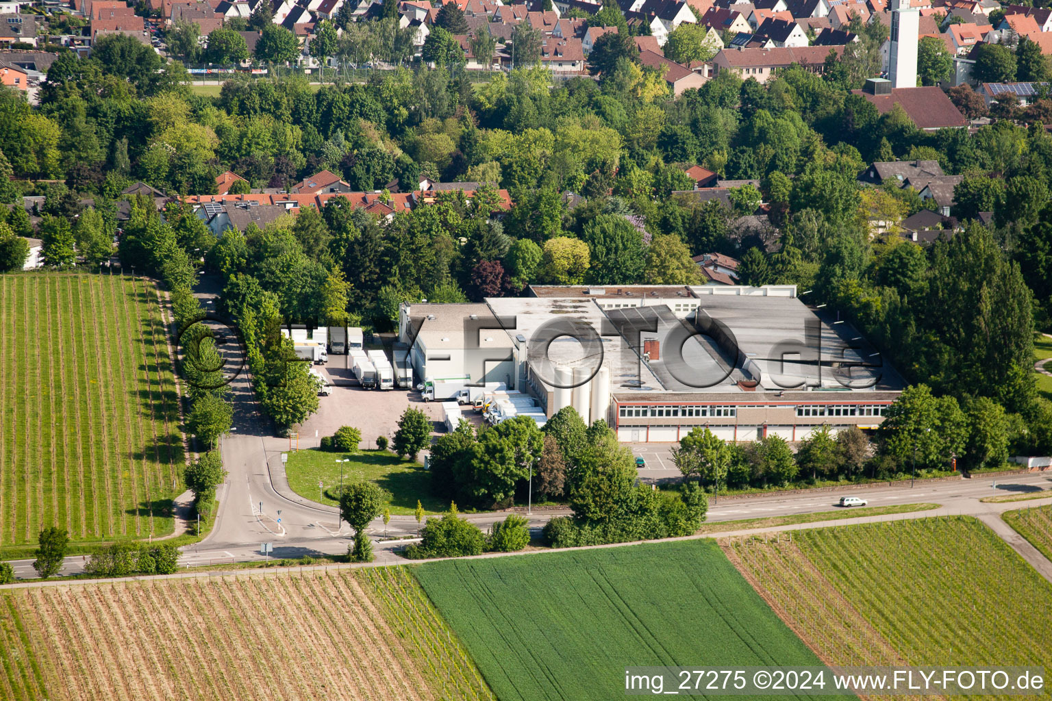 Wollmesheimer Höhe, Hofmeister-Brot GmbH in Landau in der Pfalz im Bundesland Rheinland-Pfalz, Deutschland