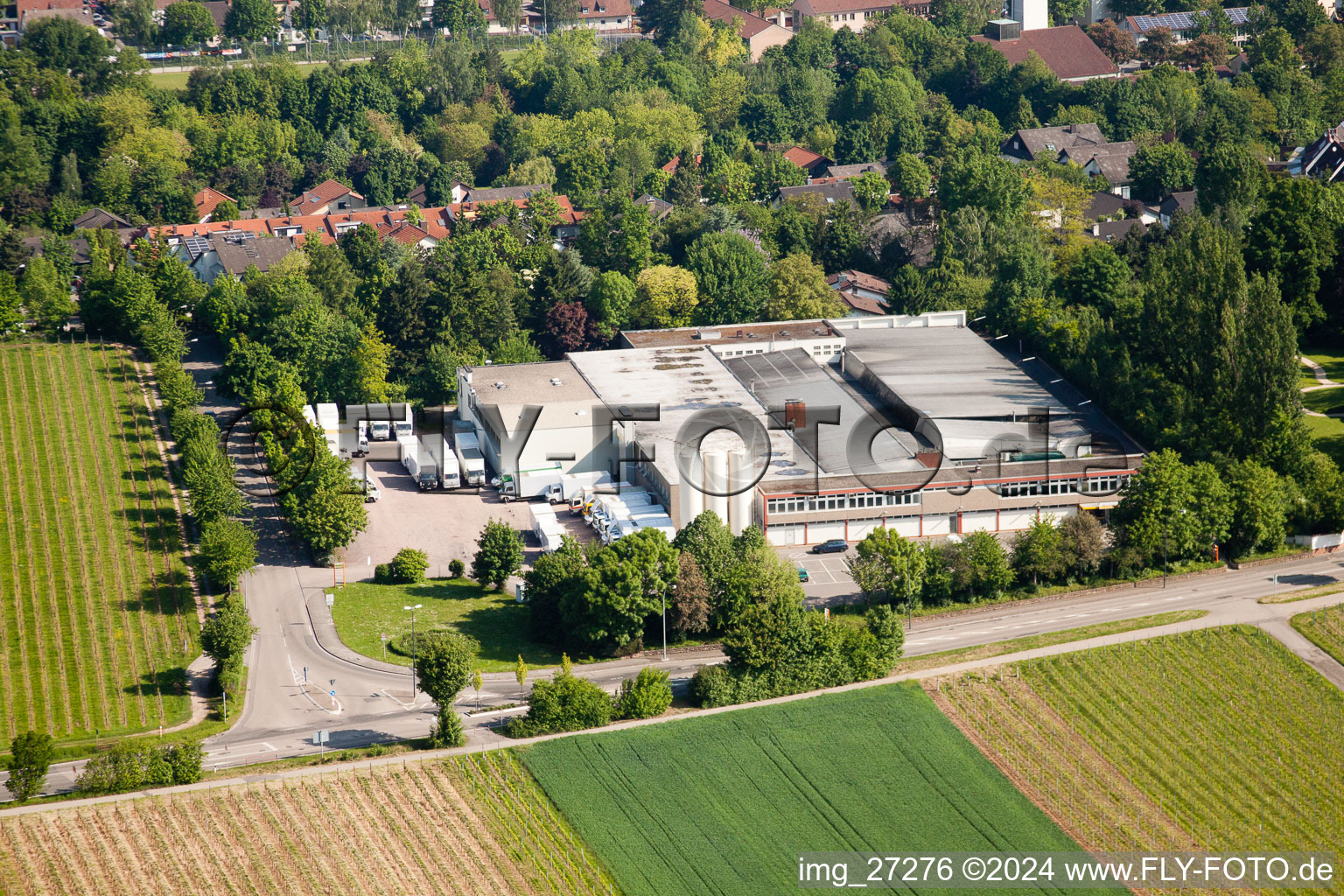 Luftbild von Wollmesheimer Höhe, Hofmeister-Brot GmbH in Landau in der Pfalz im Bundesland Rheinland-Pfalz, Deutschland