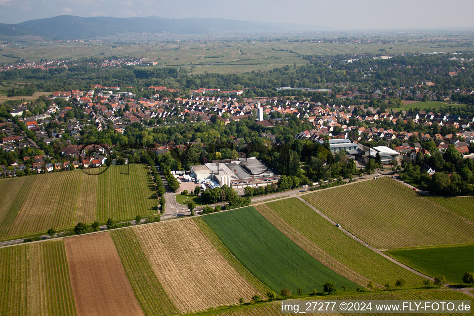 Luftaufnahme von Wollmesheimer Höhe, Hofmeister-Brot GmbH in Landau in der Pfalz im Bundesland Rheinland-Pfalz, Deutschland