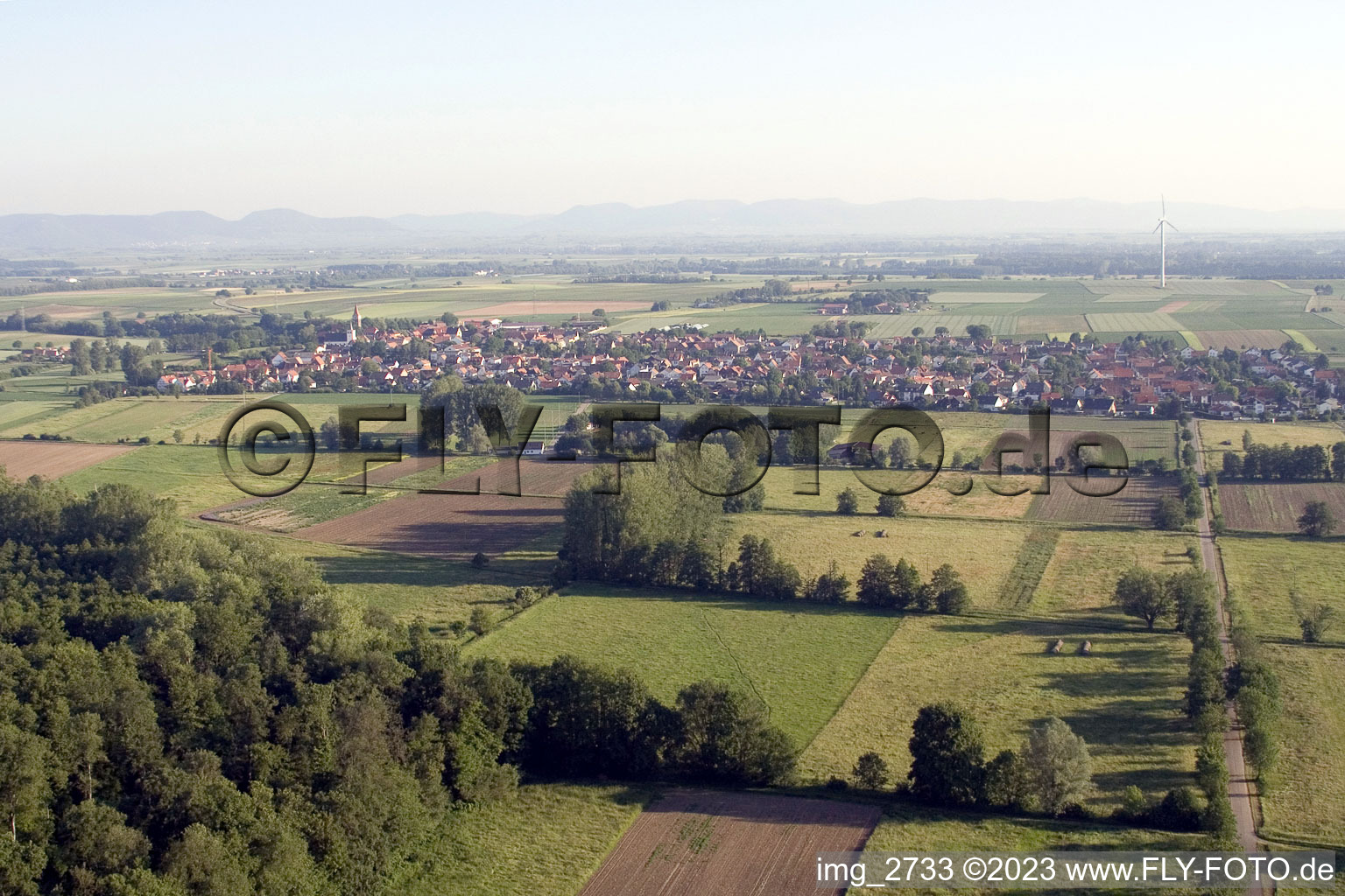 Minfeld von Süden im Bundesland Rheinland-Pfalz, Deutschland