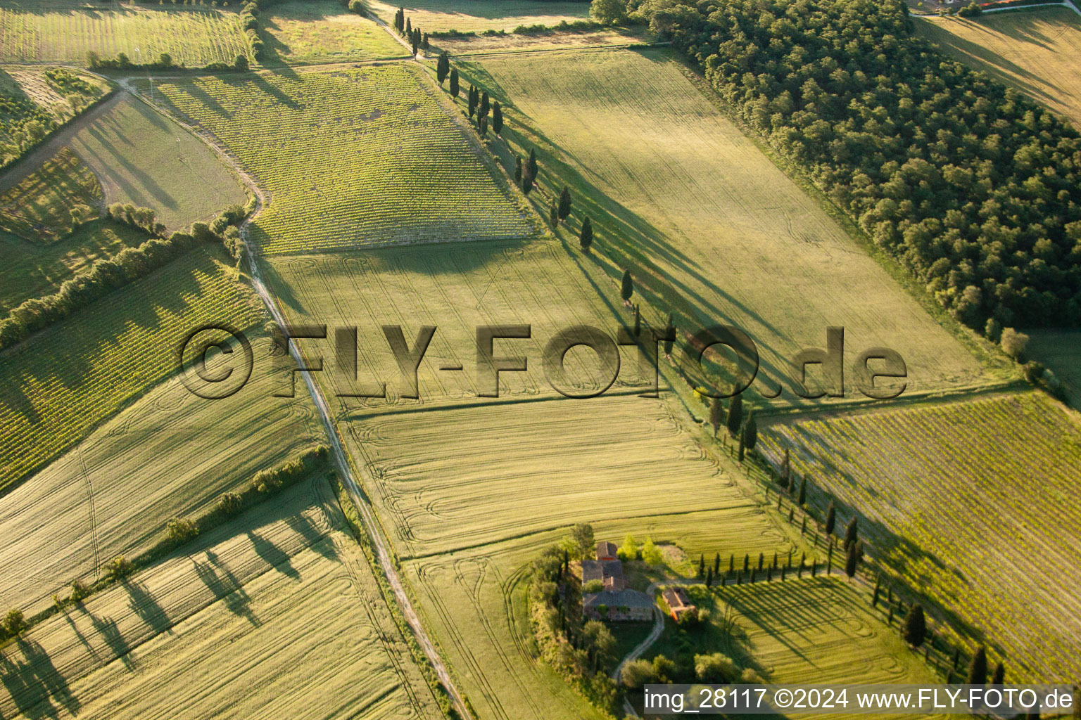 Strukturen auf landwirtschaftlichen Feldern mit schattenwerfender Zypressenallee in Il Pianello in Toscana, Italien