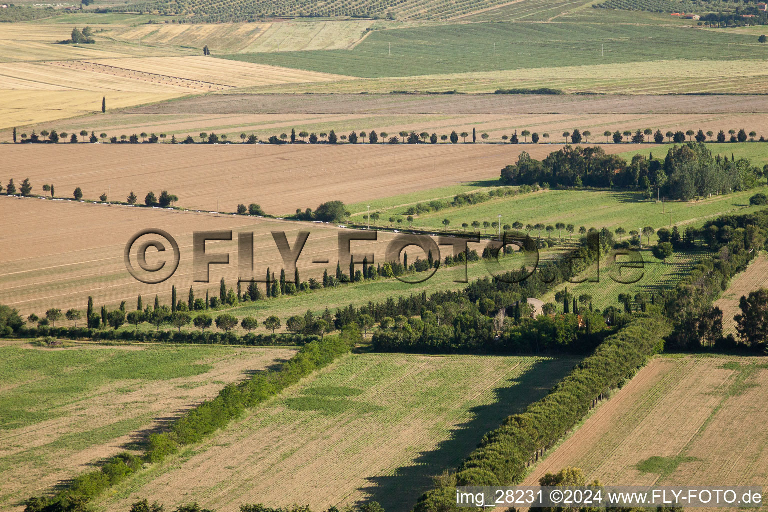 Montepescali (Toscana), Italien