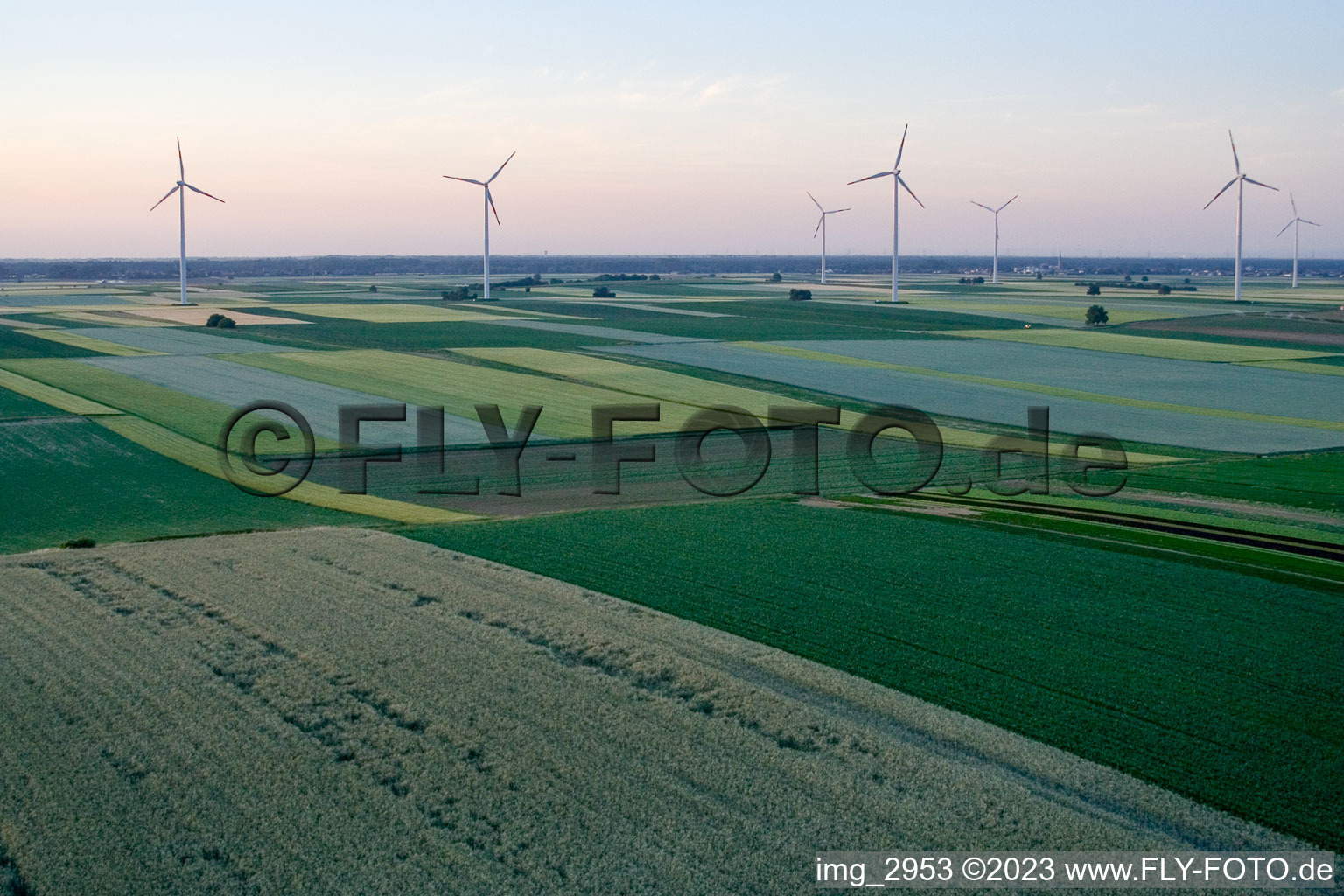 Herxheimweyher, Windkraftanlagen Richtung Bellheim im Bundesland Rheinland-Pfalz, Deutschland