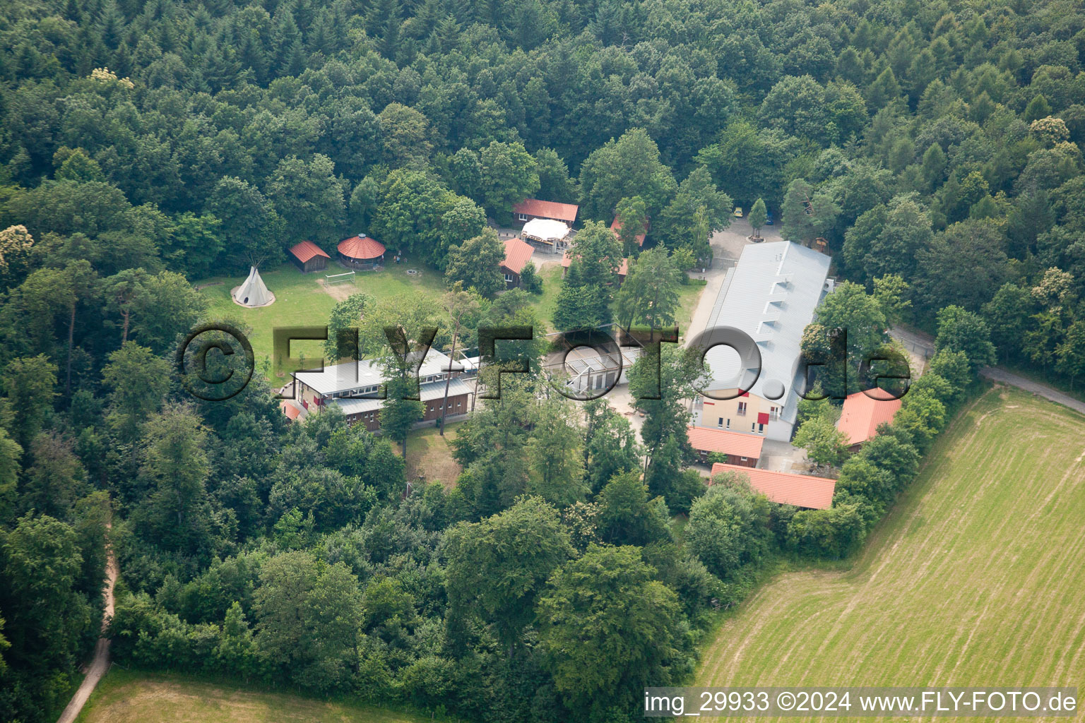 Luftbild von Waldpiraten-Camp im Ortsteil Rohrbach in Heidelberg im Bundesland Baden-Württemberg, Deutschland