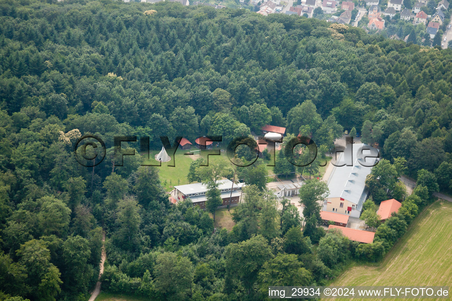 Luftaufnahme von Waldpiraten-Camp im Ortsteil Rohrbach in Heidelberg im Bundesland Baden-Württemberg, Deutschland