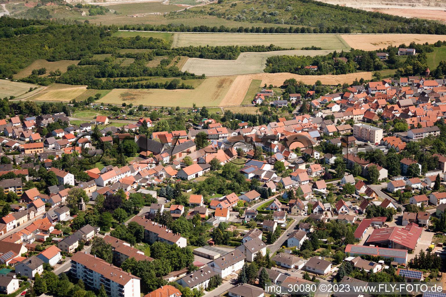Göllheim im Bundesland Rheinland-Pfalz, Deutschland vom Flugzeug aus