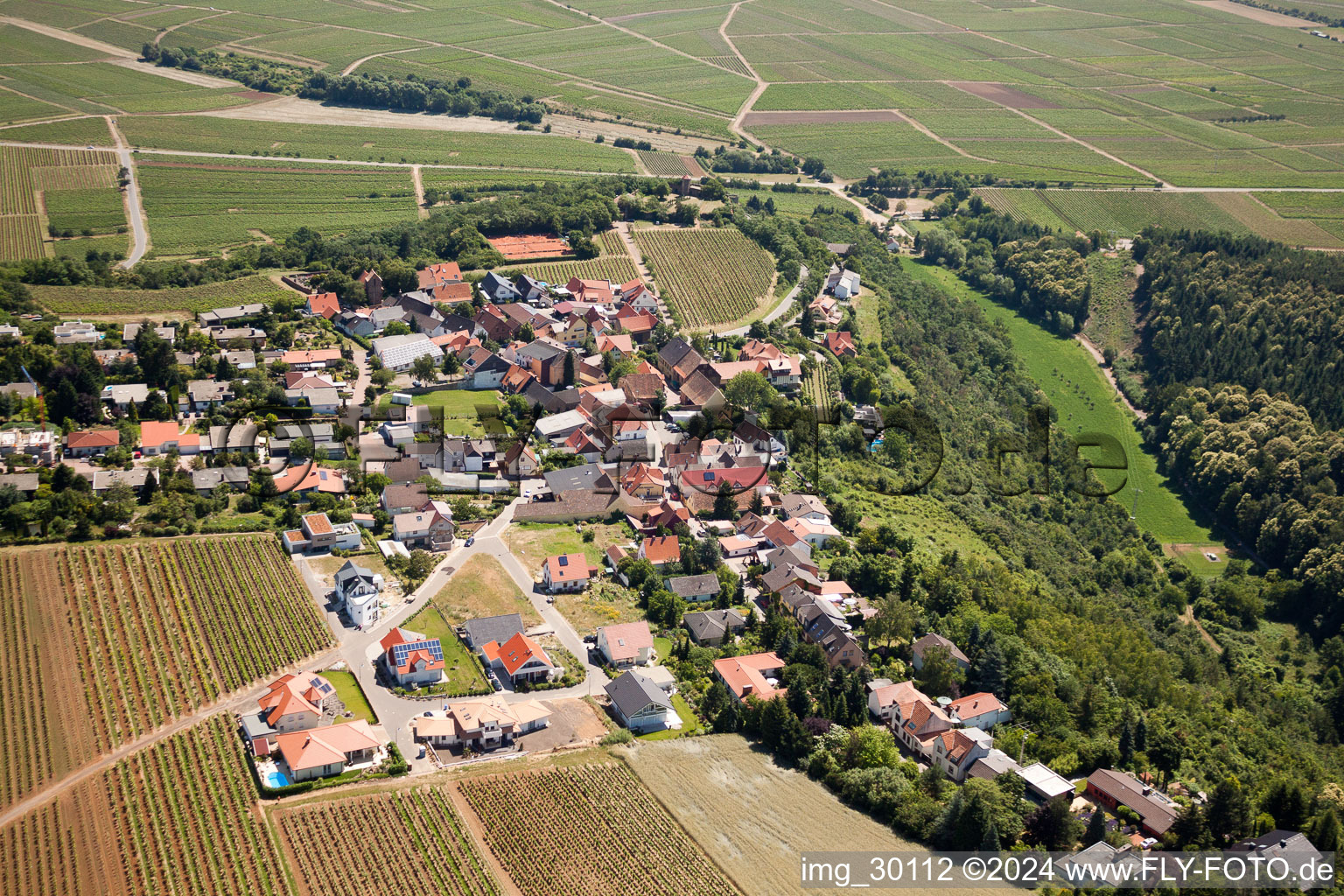 Dorf - Ansicht in Battenberg (Pfalz) im Bundesland Rheinland-Pfalz, Deutschland