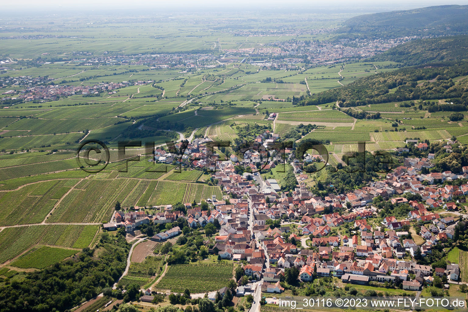 Dorf - Ansicht am Rande von landwirtschaftlichen Feldern und Nutzflächen in Leistadt in Bad Dürkheim im Bundesland Rheinland-Pfalz, Deutschland