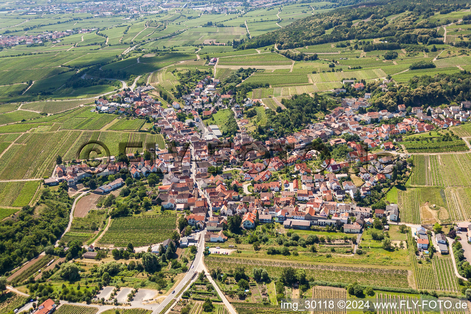 Luftbild von Dorf - Ansicht am Rande von landwirtschaftlichen Feldern und Nutzflächen in Leistadt in Bad Dürkheim im Bundesland Rheinland-Pfalz, Deutschland