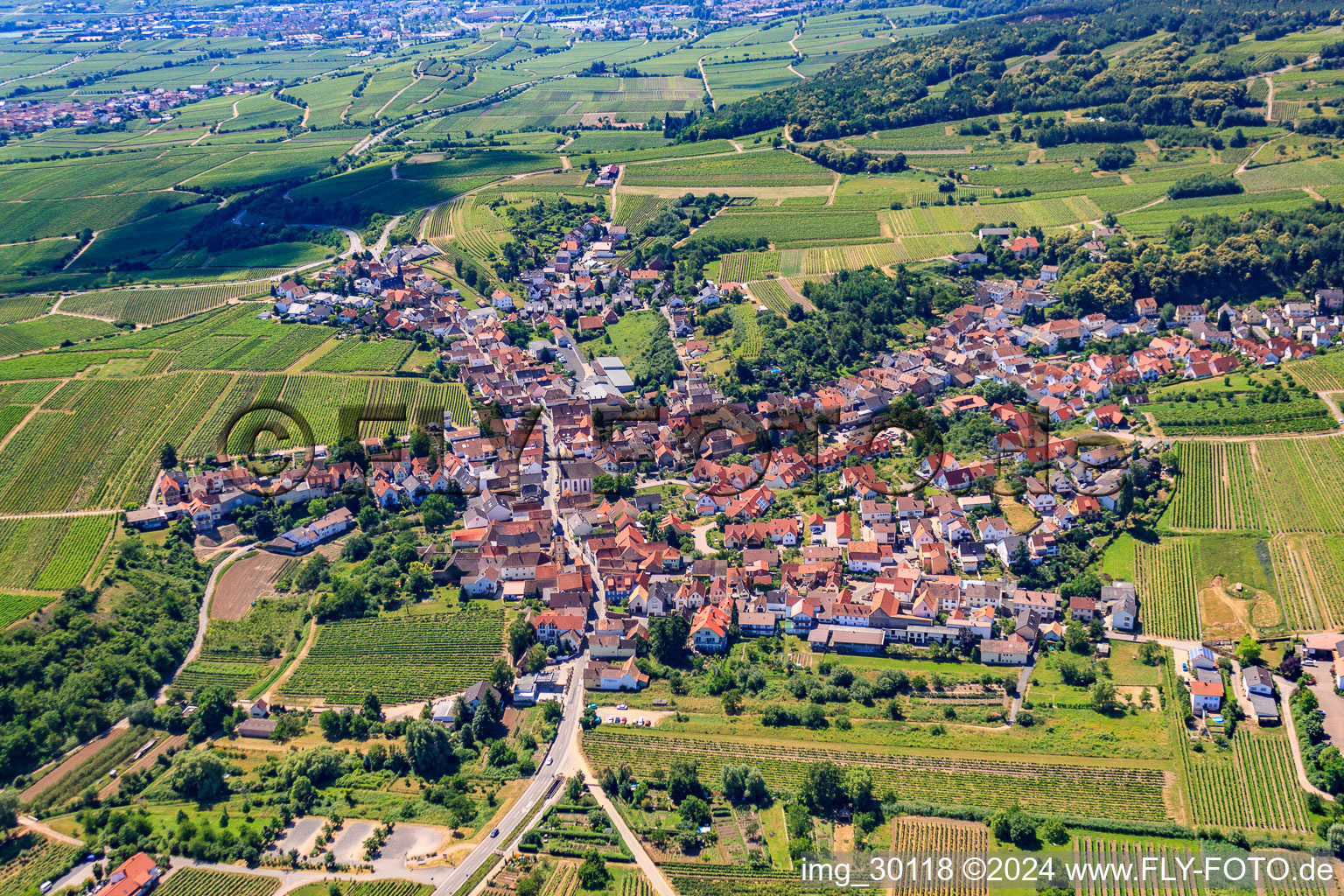 Luftbild von Dorf - Ansicht am Rande von landwirtschaftlichen Feldern und Nutzflächen in Leistadt in Bad Dürkheim im Bundesland Rheinland-Pfalz, Deutschland