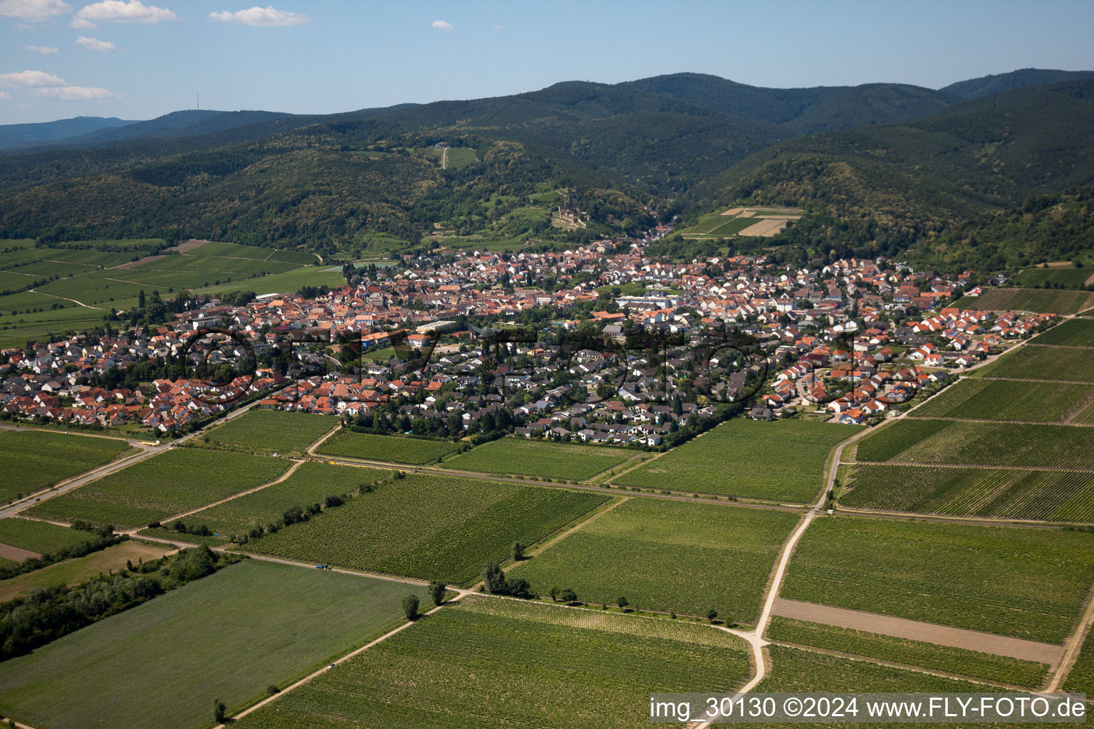 Wachenheim an der Weinstraße im Bundesland Rheinland-Pfalz, Deutschland von einer Drohne aus