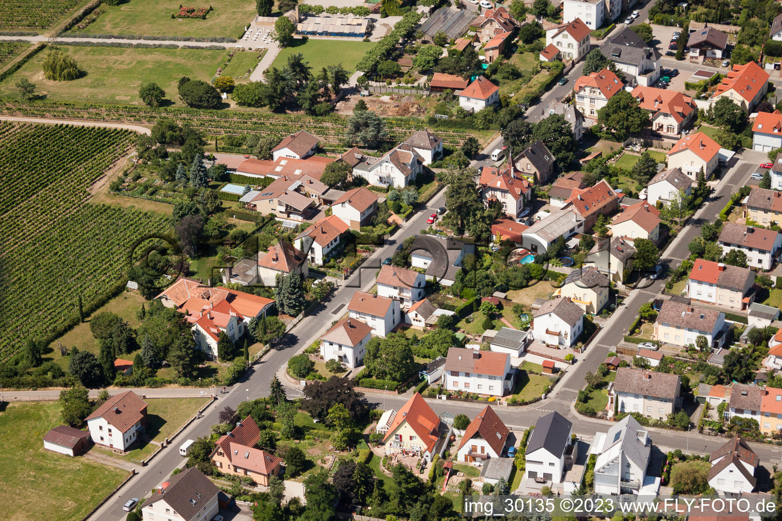 Schrägluftbild von Wachenheim an der Weinstraße im Bundesland Rheinland-Pfalz, Deutschland