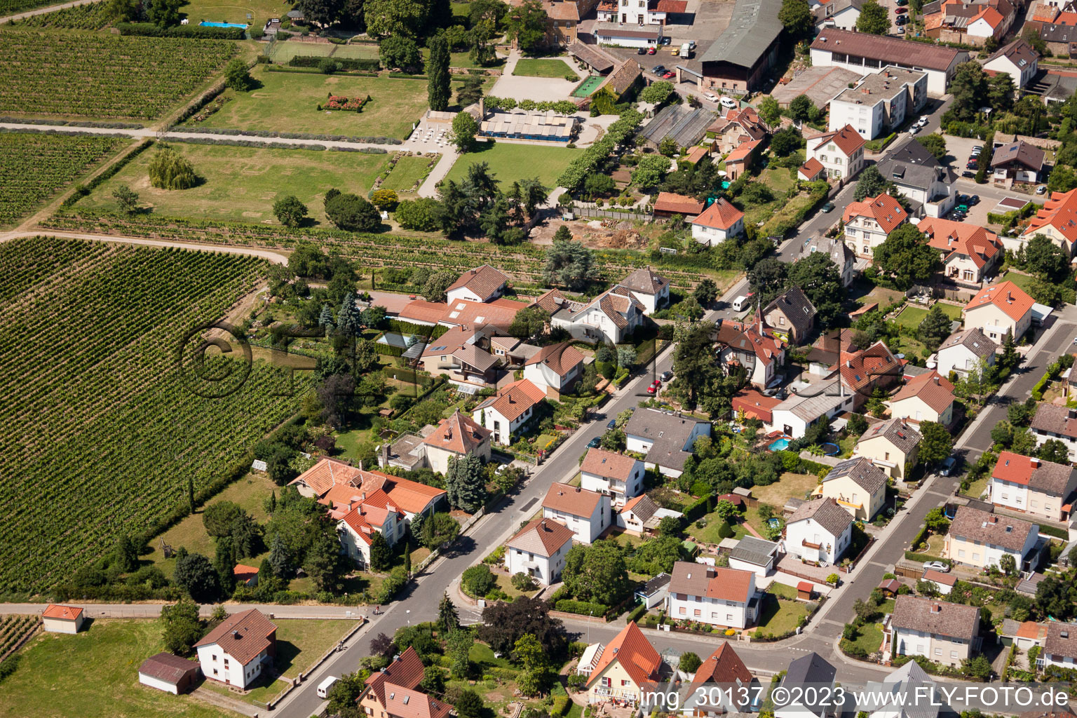 Wachenheim an der Weinstraße im Bundesland Rheinland-Pfalz, Deutschland aus der Luft