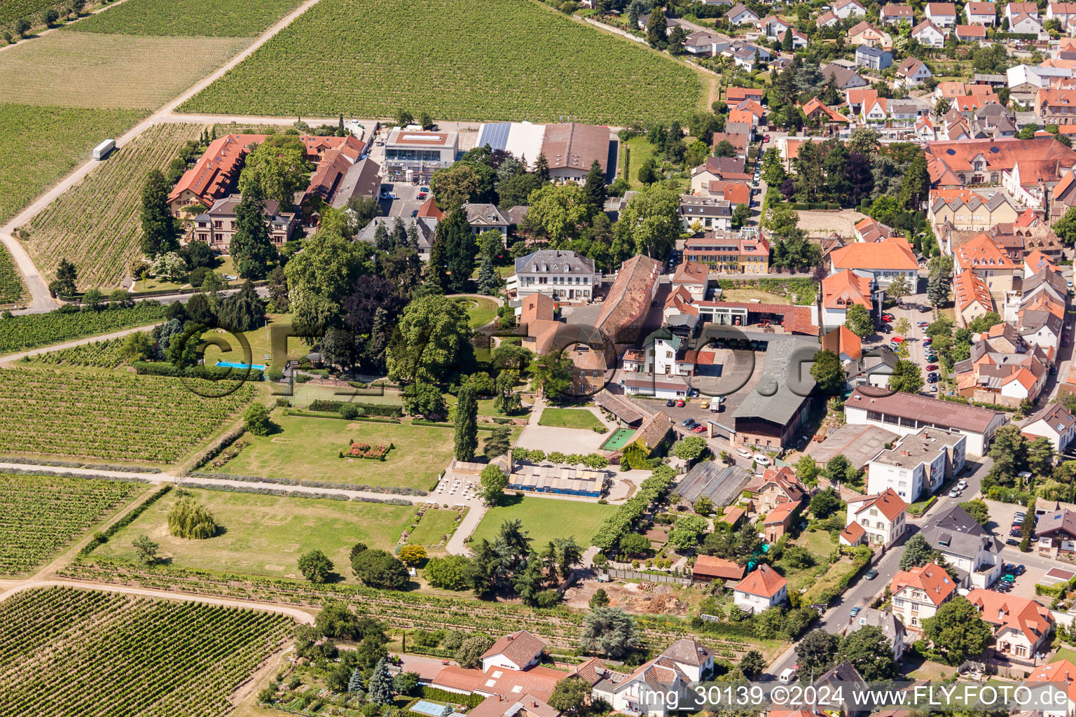 Gebäude und Parkanlagen am Weingut Dr. Bürklin-Wolf in Wachenheim an der Weinstraße im Bundesland Rheinland-Pfalz, Deutschland