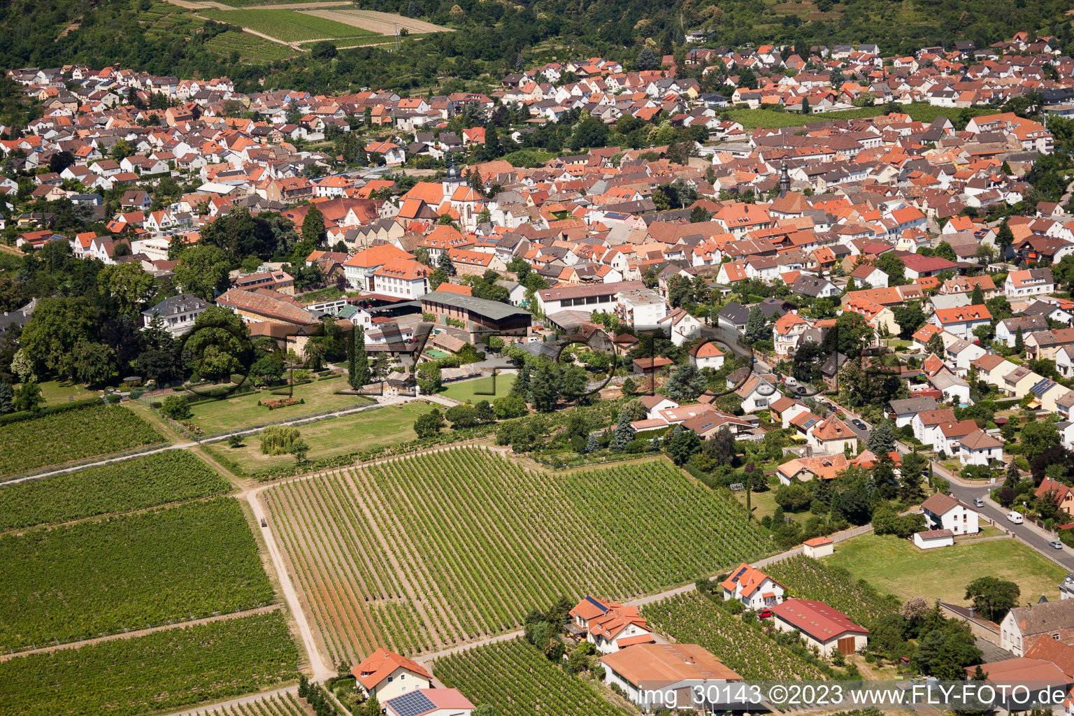 Wachenheim an der Weinstraße im Bundesland Rheinland-Pfalz, Deutschland aus der Luft betrachtet