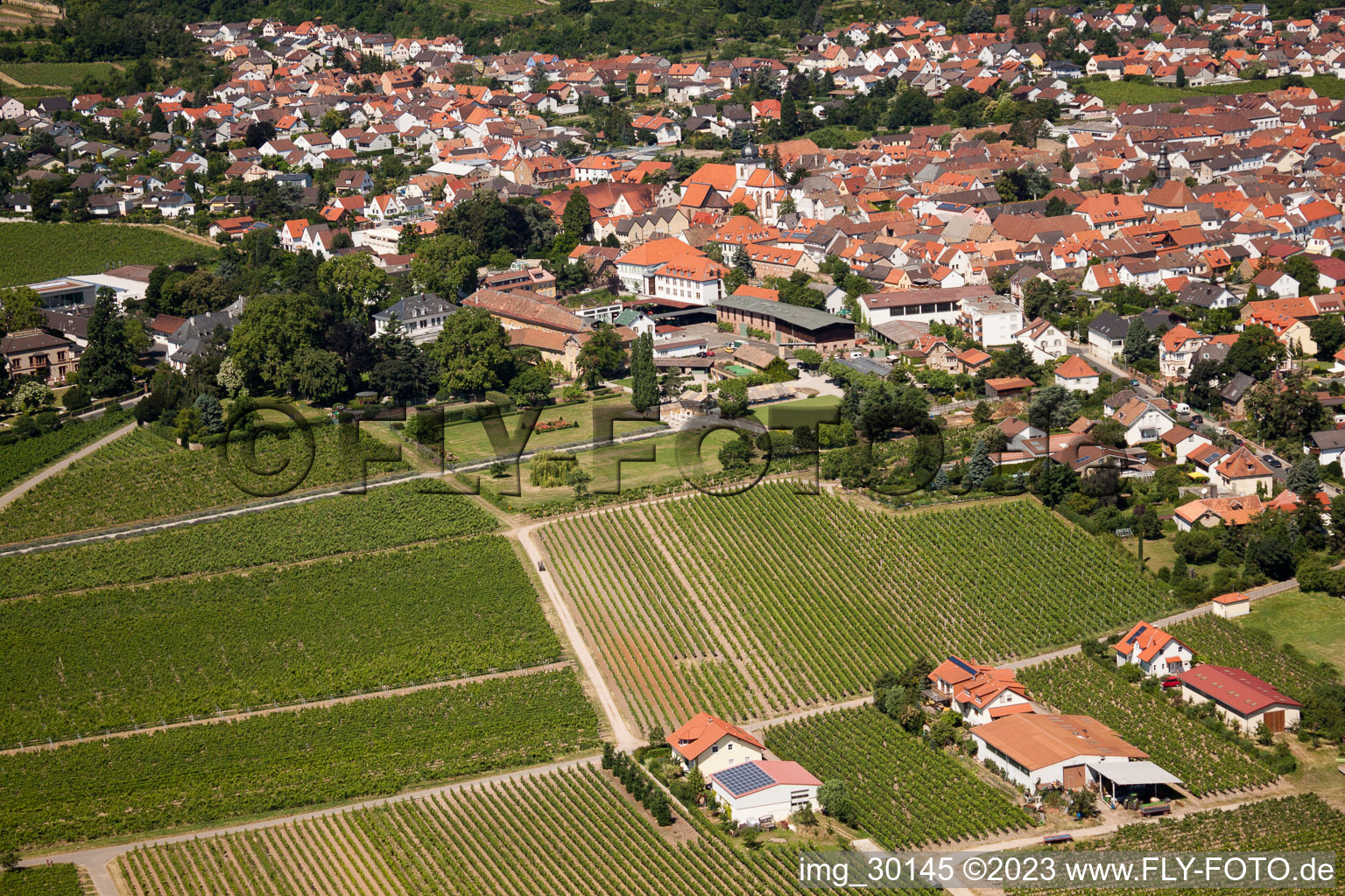 Drohnenbild von Wachenheim an der Weinstraße im Bundesland Rheinland-Pfalz, Deutschland