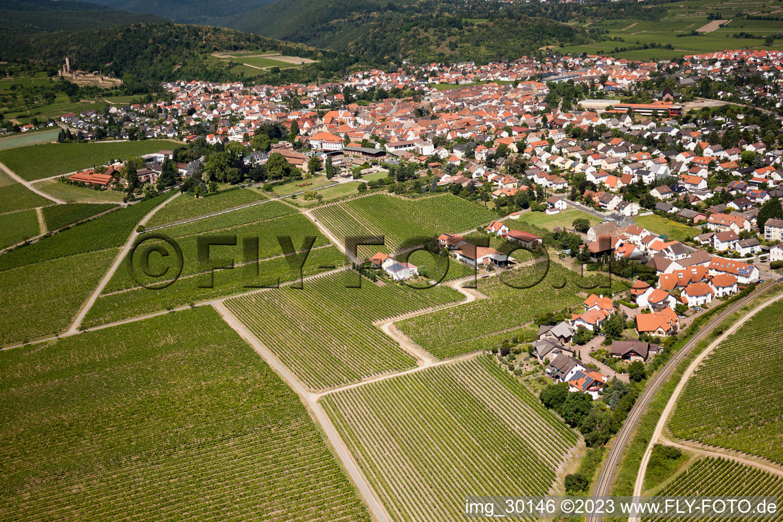 Wachenheim an der Weinstraße im Bundesland Rheinland-Pfalz, Deutschland aus der Drohnenperspektive